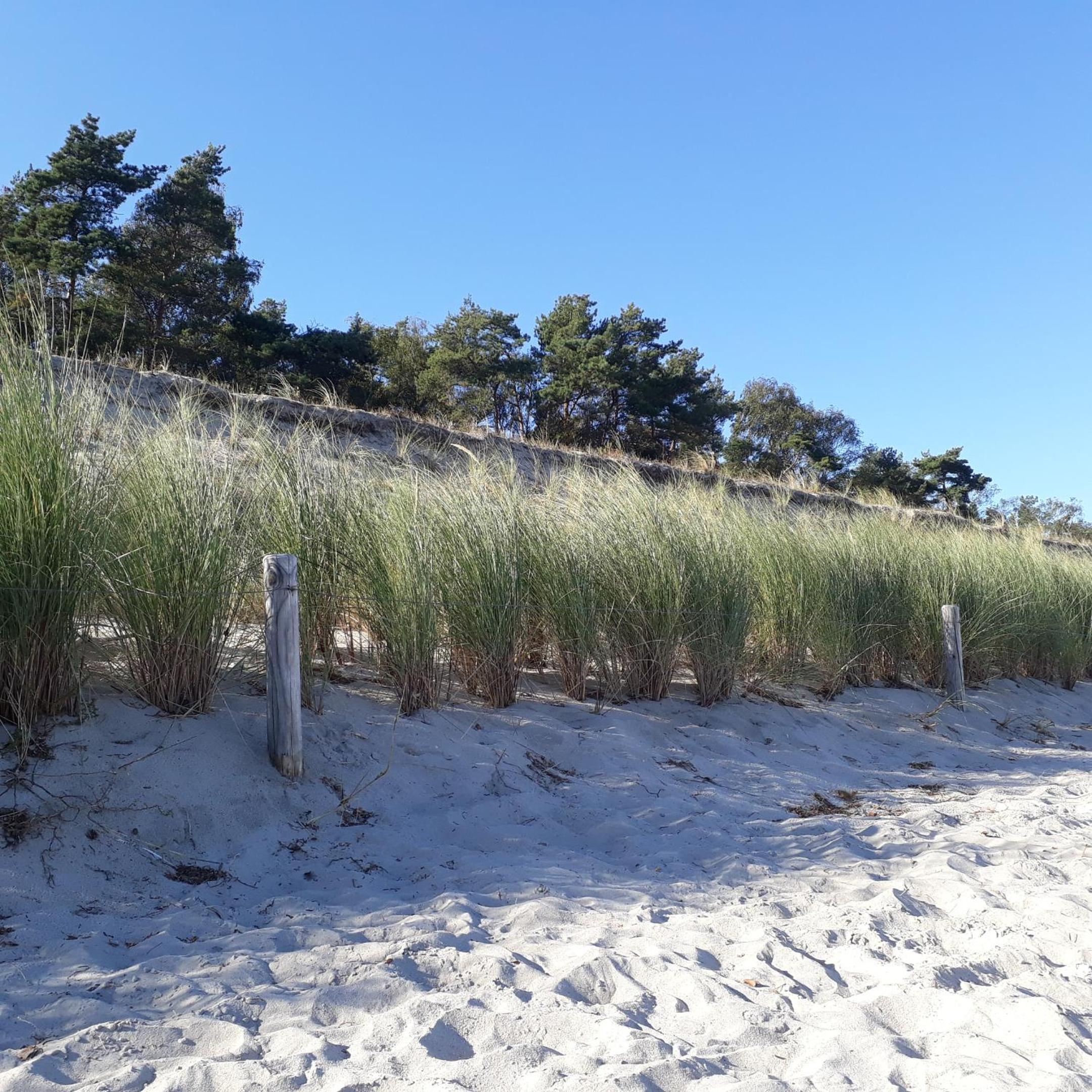 Traumblick und Komfort - lichtdurchflutete 85 qm Wohnung nahe Südstrand Göhren inklusive Schwimmbad und Sauna im AHOI Sellin