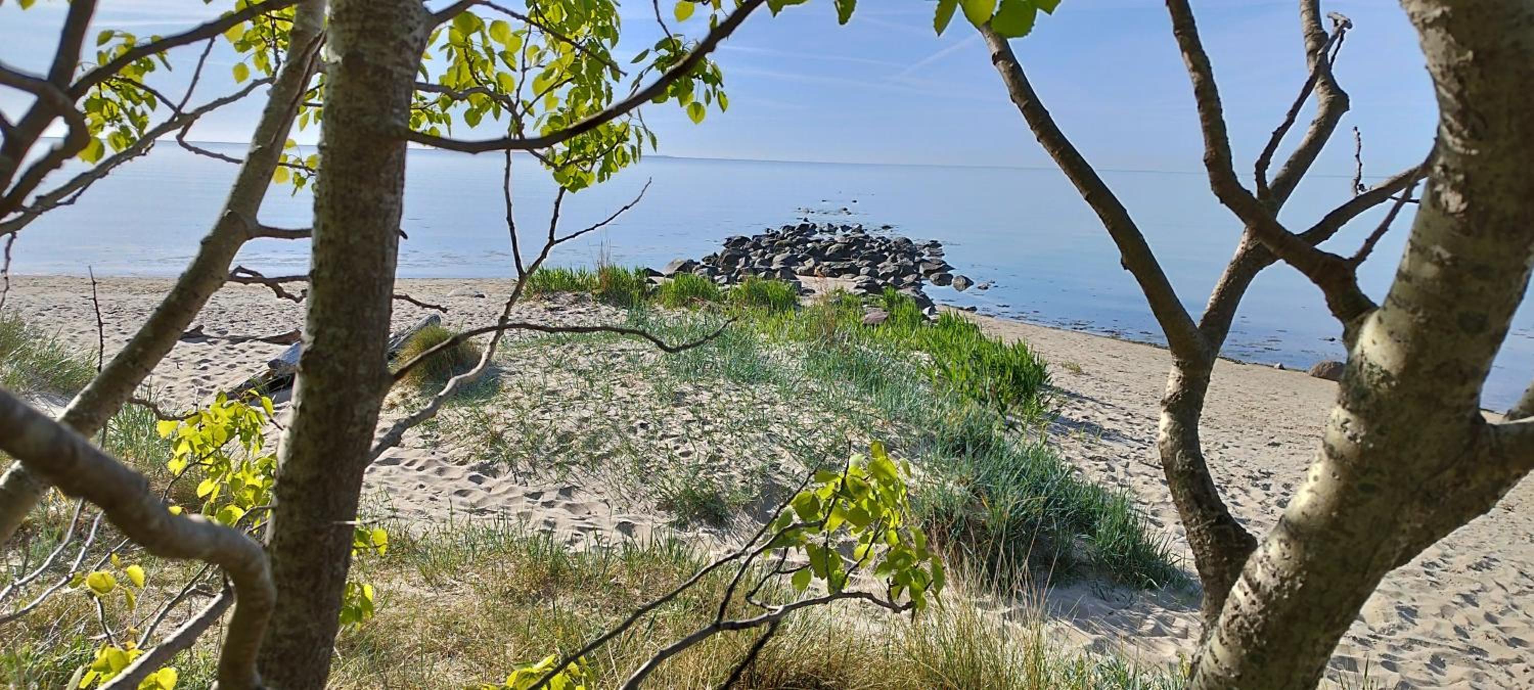 Traumblick und Komfort - lichtdurchflutete 85 qm Wohnung nahe Südstrand Göhren inklusive Schwimmbad und Sauna im AHOI Sellin