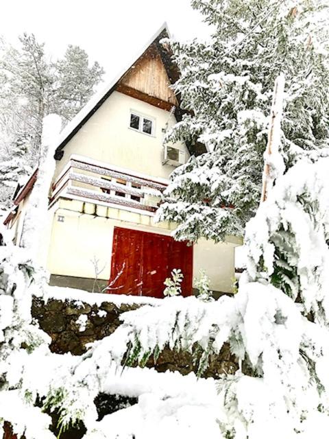CASA MONTE