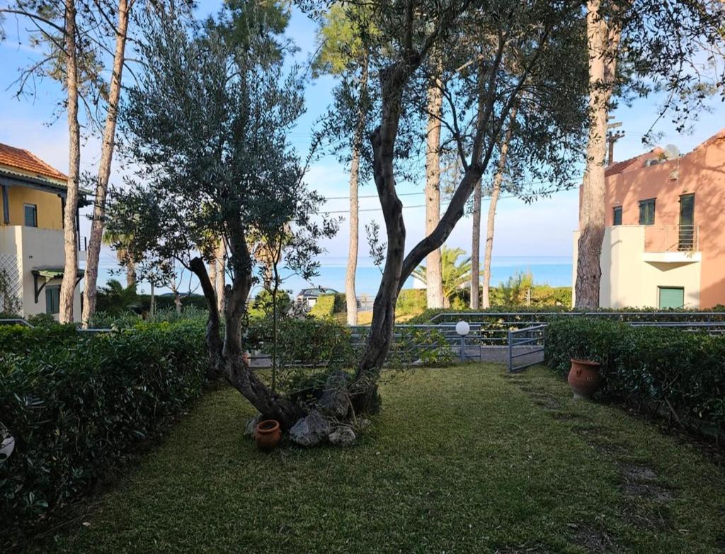 Stay at Beachfront Villa Lilia in Pefkohori, Halkidiki for a Dreamy Vacation