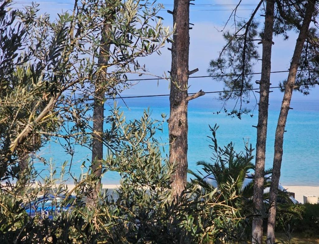 Stay at Beachfront Villa Lilia in Pefkohori, Halkidiki for a Dreamy Vacation