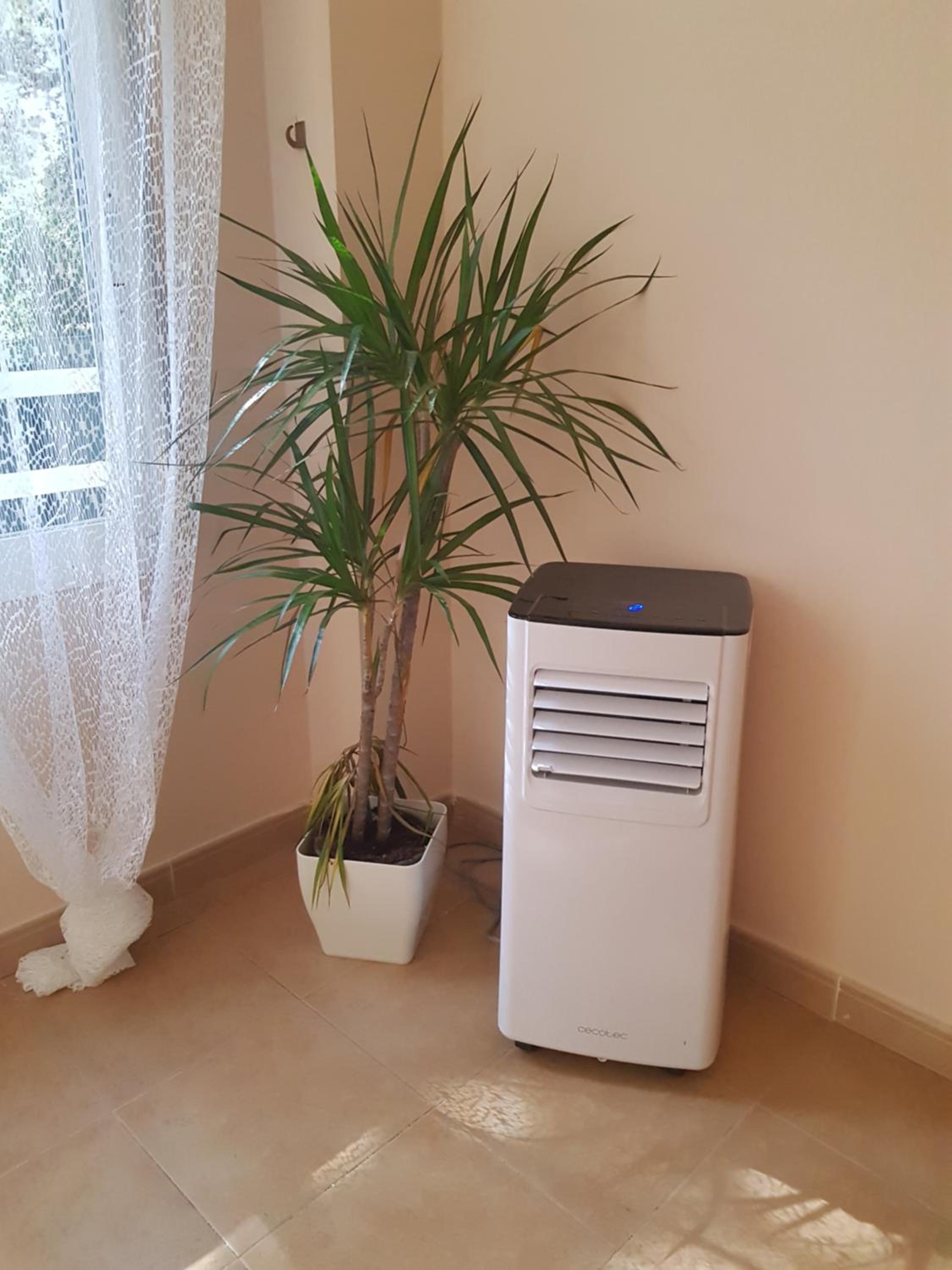 Appartment Maximar