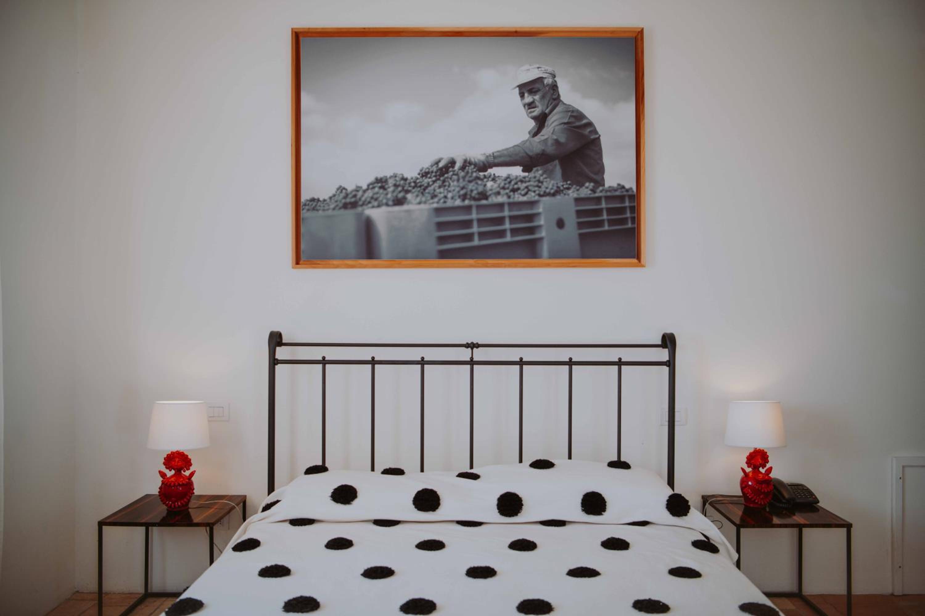 Tenuta Pianirossi, 写真 65