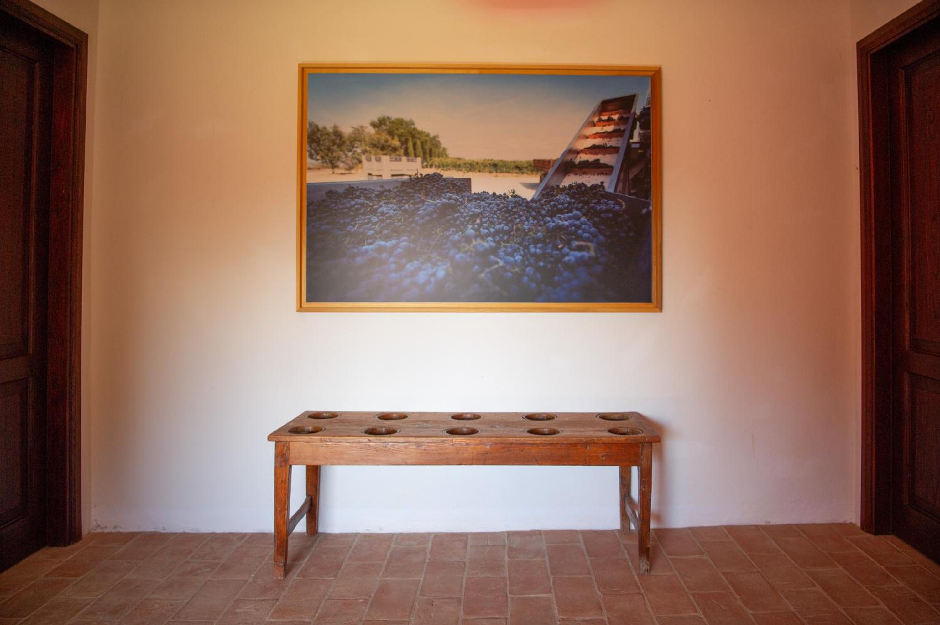 Tenuta Pianirossi, 写真 37