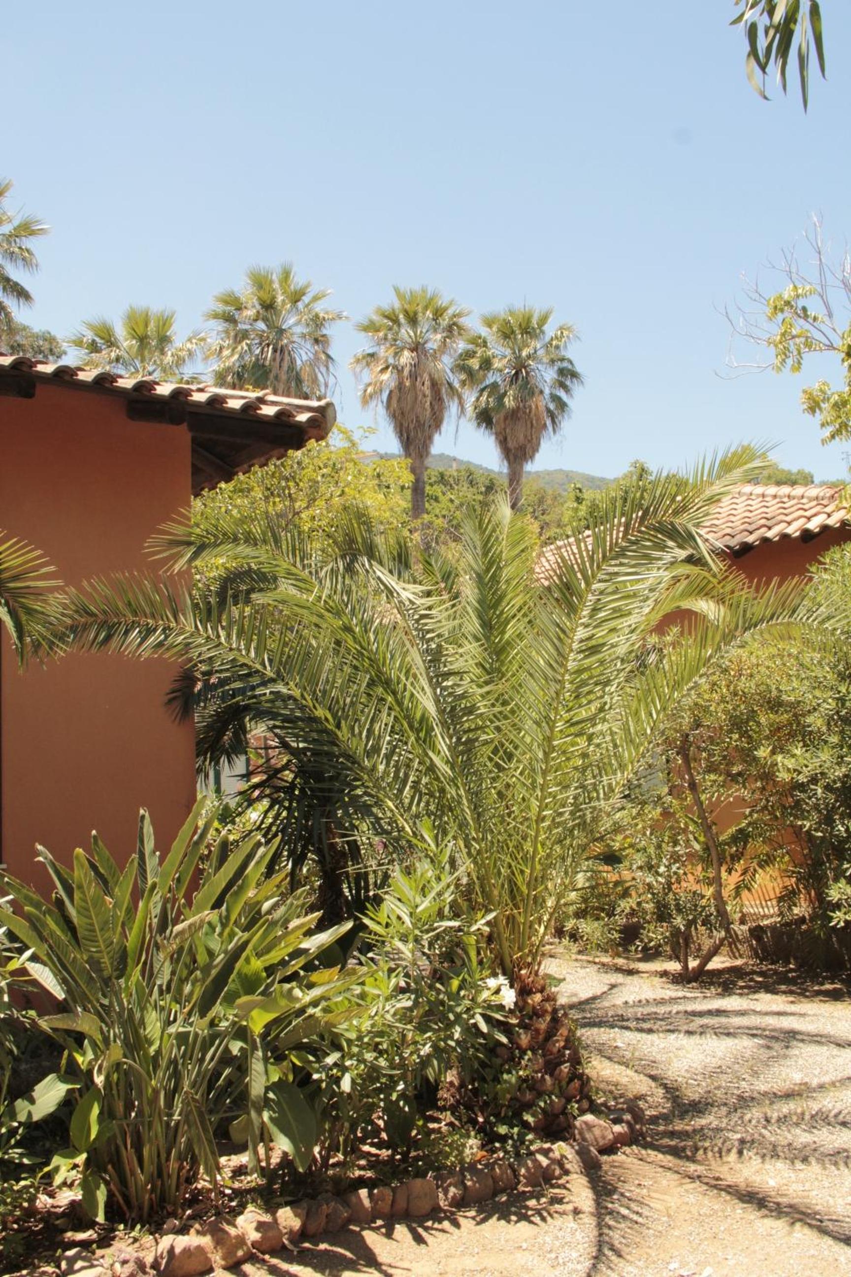 Le Palme Garden