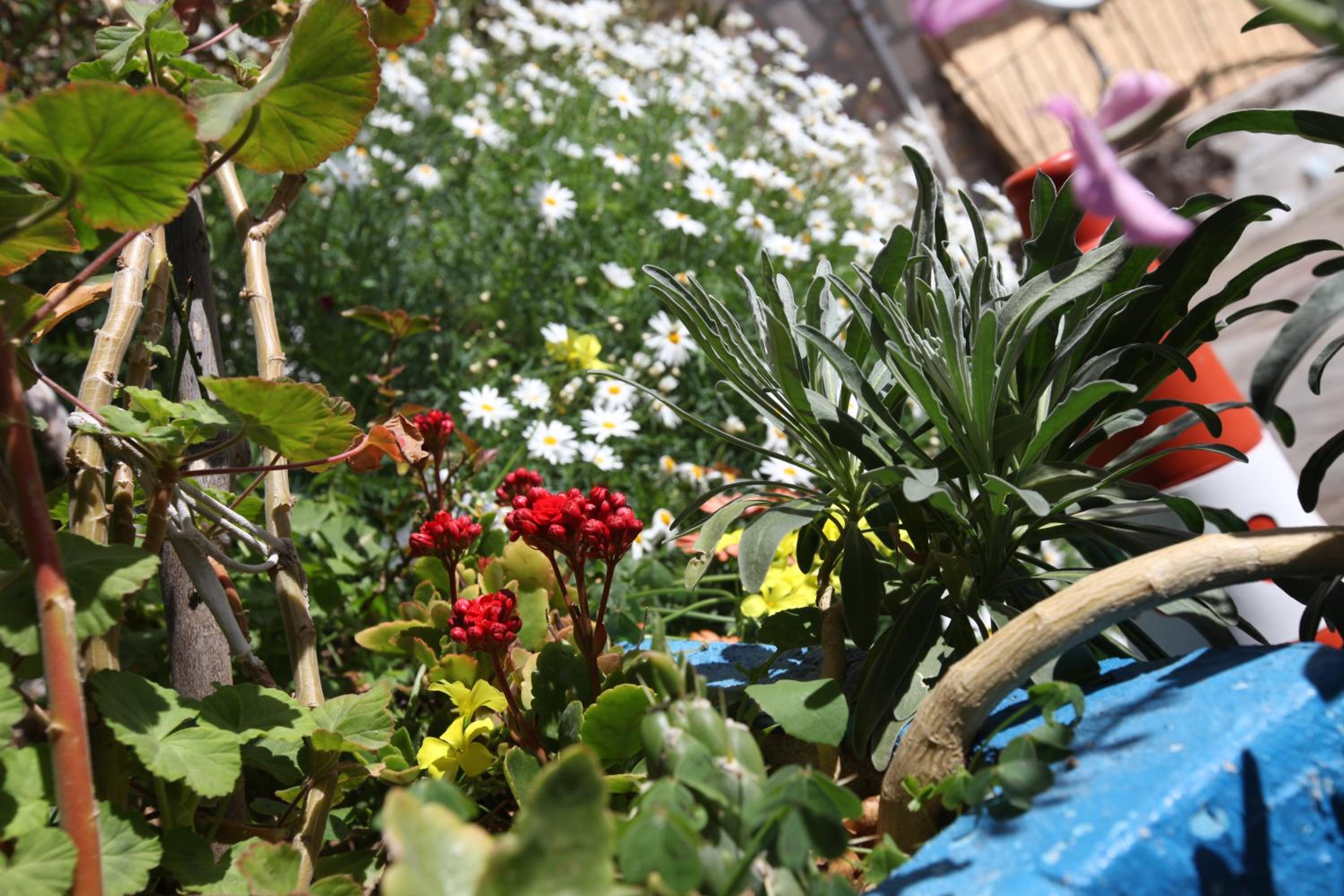 Larimar Hotel Cesme - Image 265