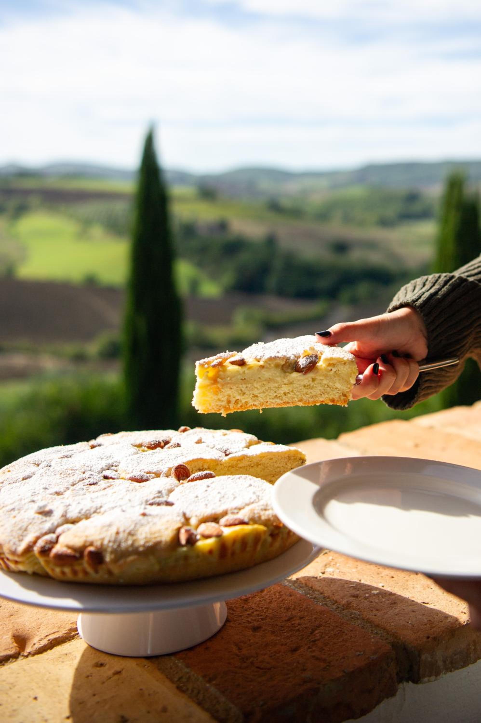 Tenuta Pianirossi, 写真 56