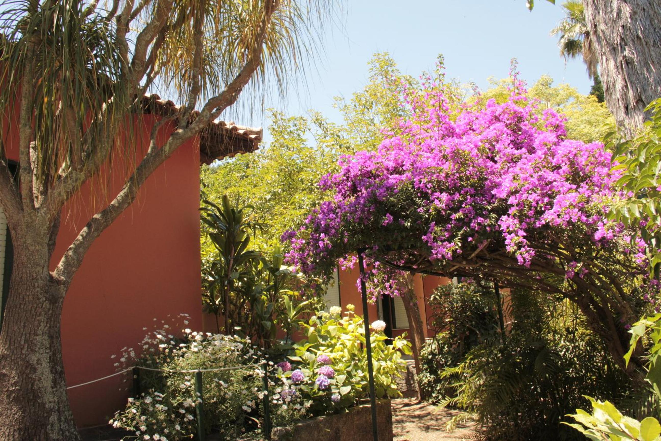 Le Palme Garden