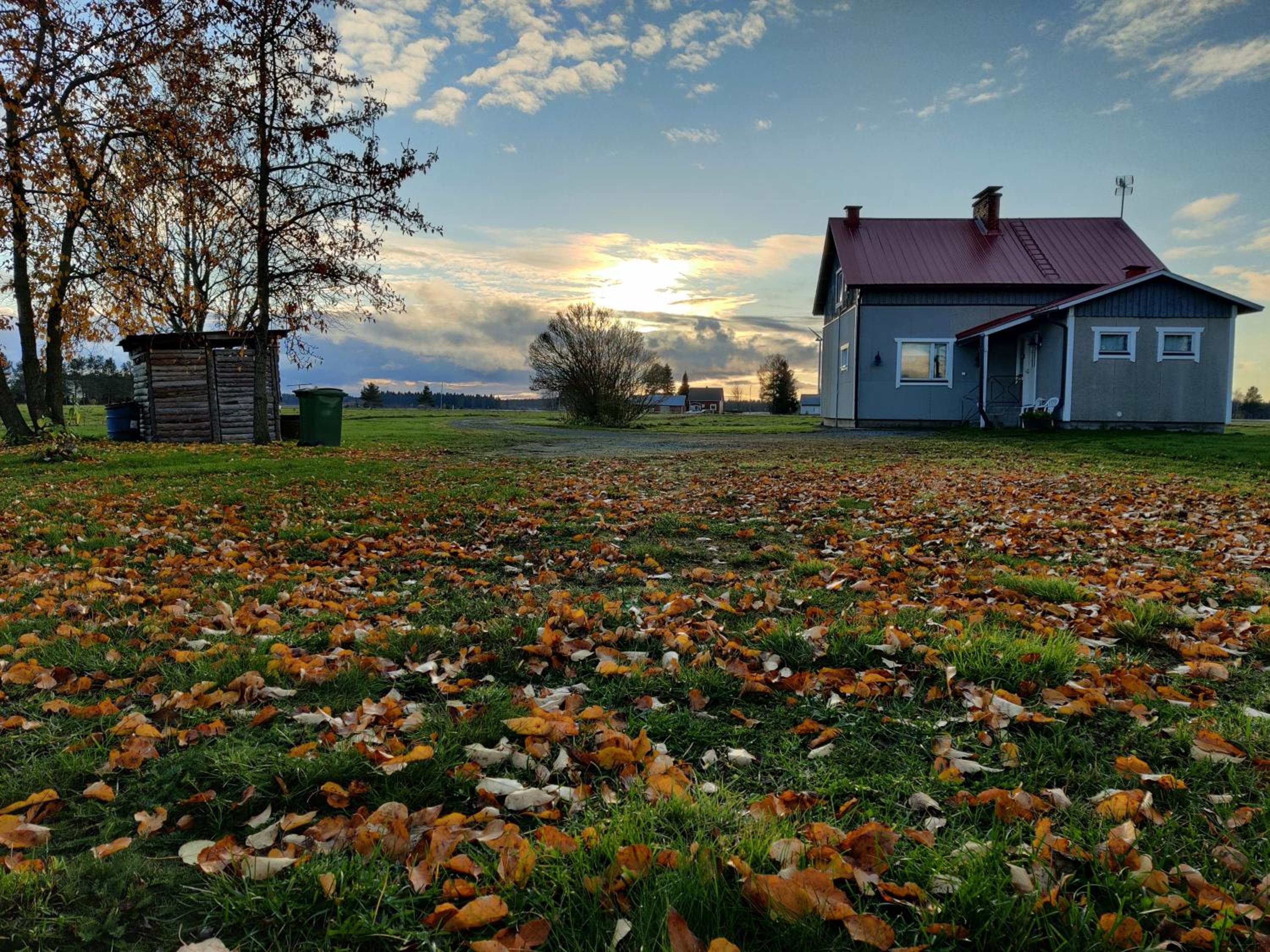 Koskela