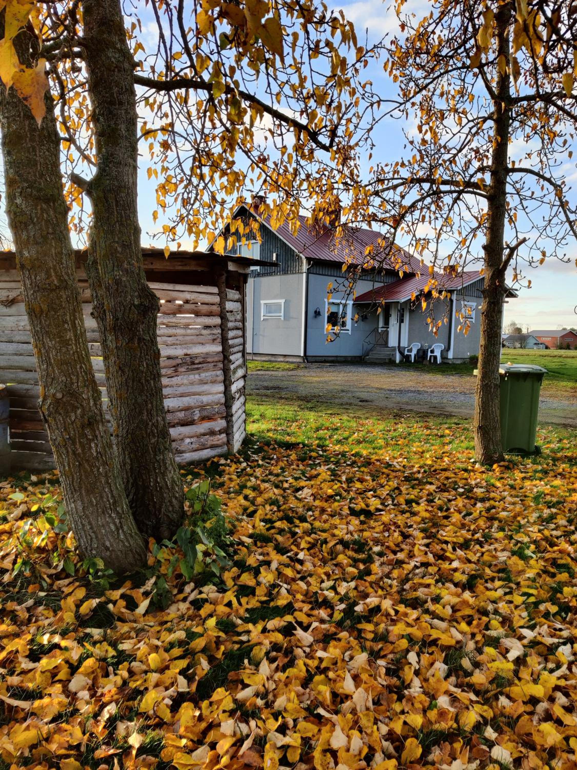 Koskela