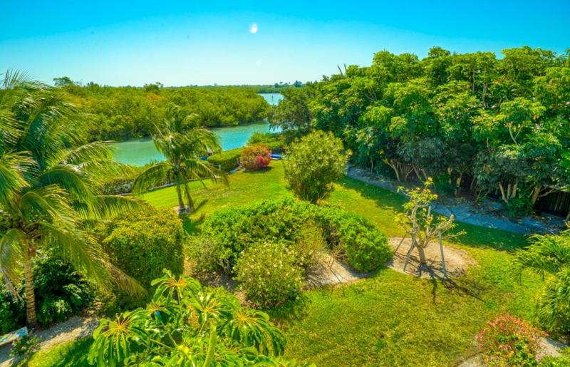 Sommergluck view 5