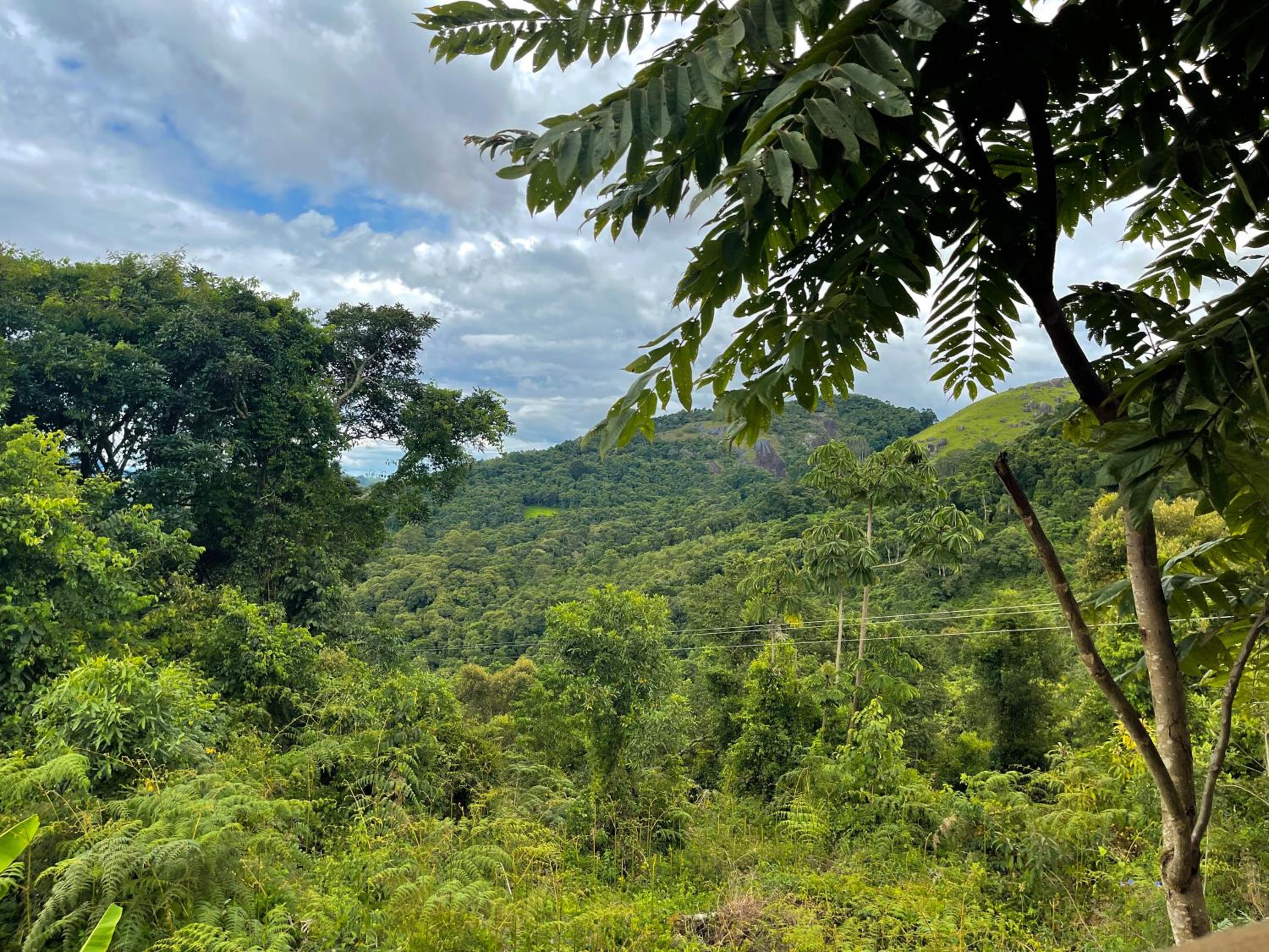 Chalé do Jacarandá - Sitio Nossa Paz
