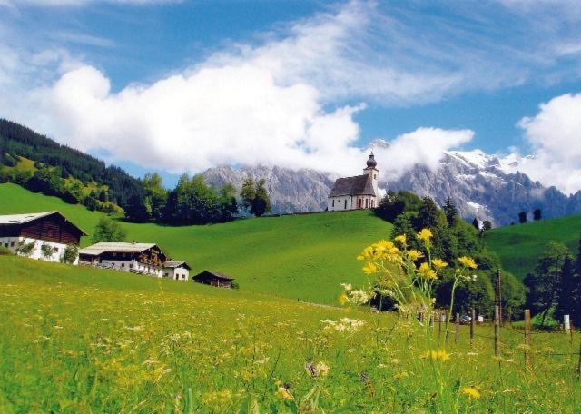 Designer-Chalets
