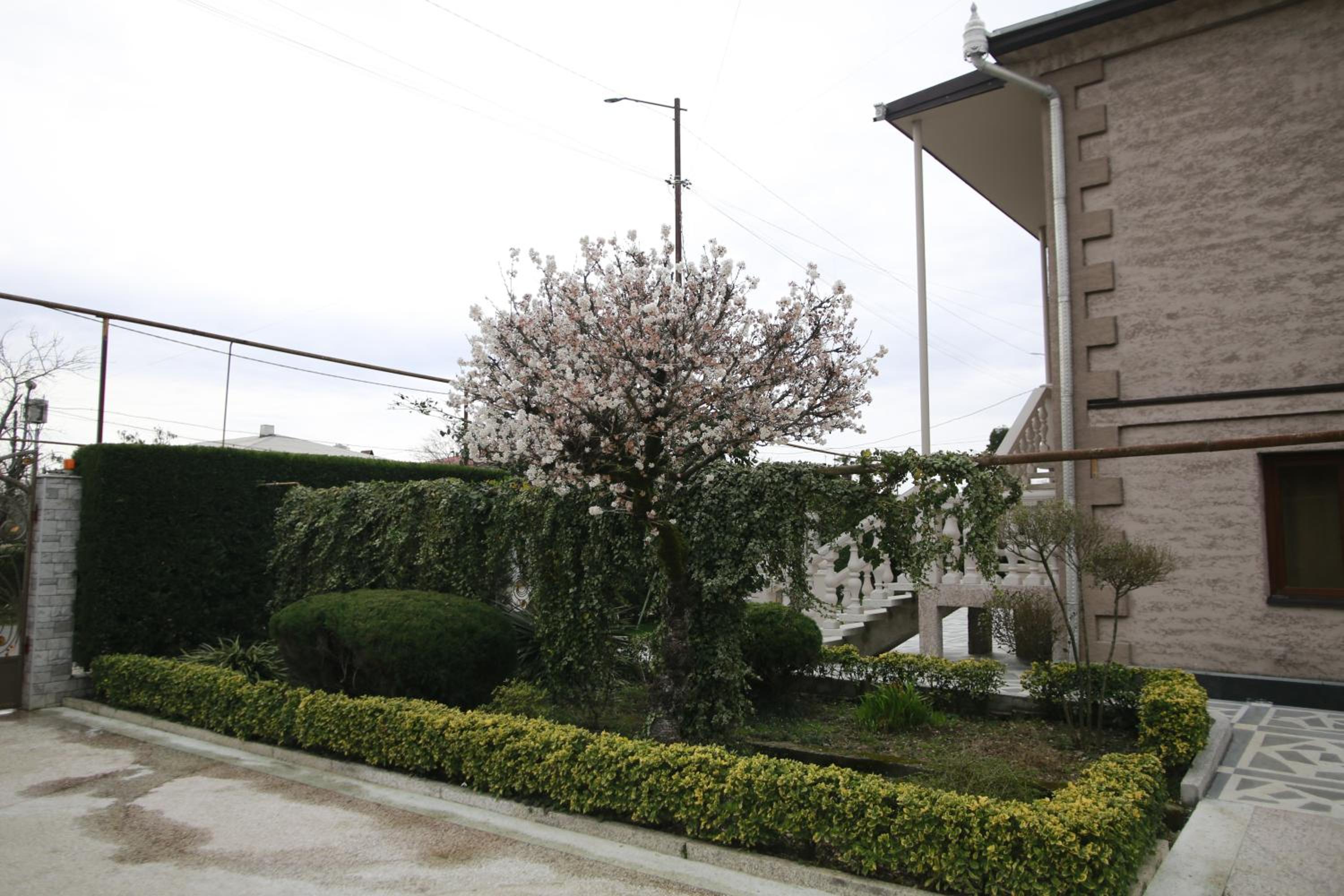 Photo 40