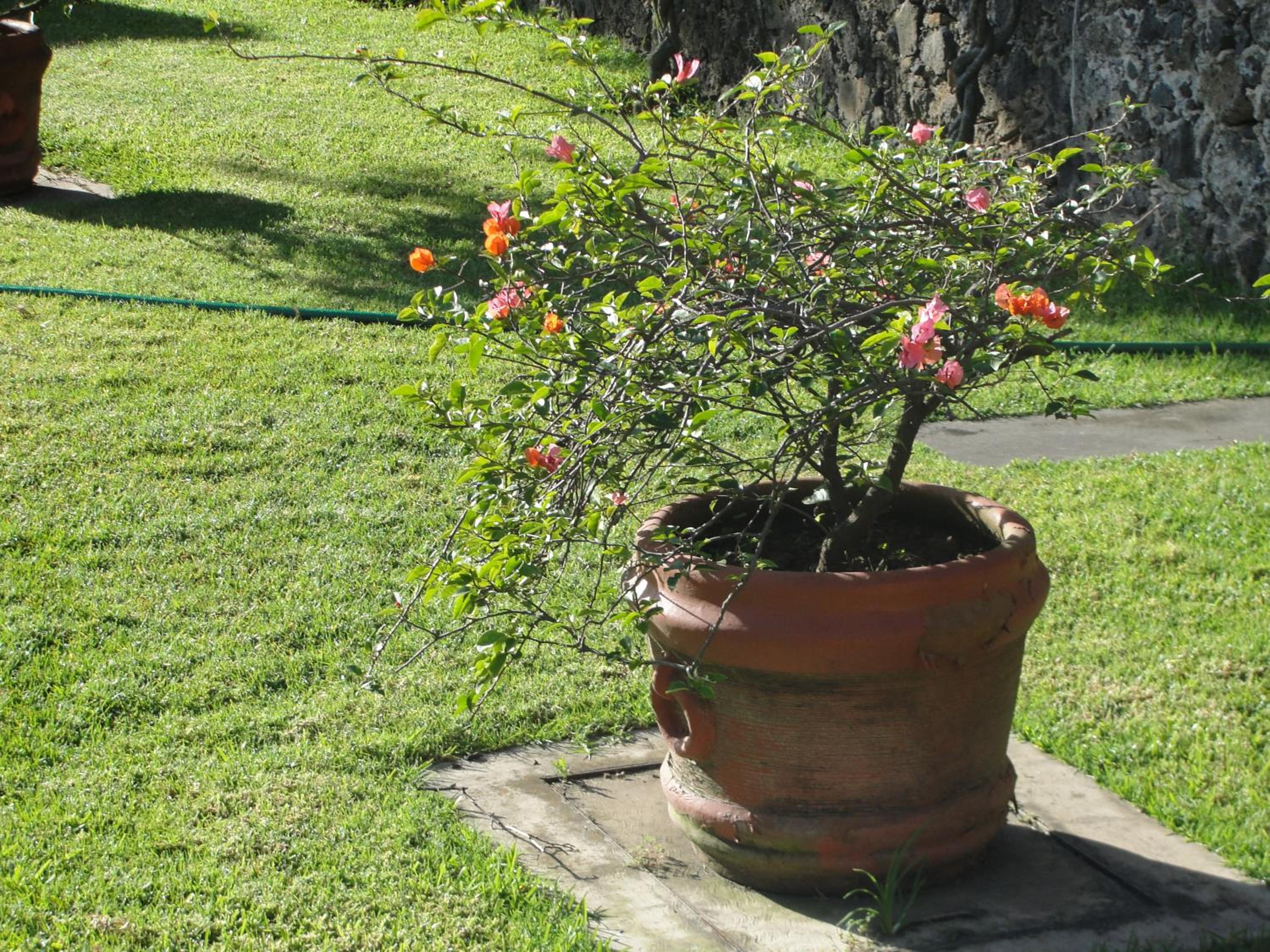 Las Casitas Tepoztlán