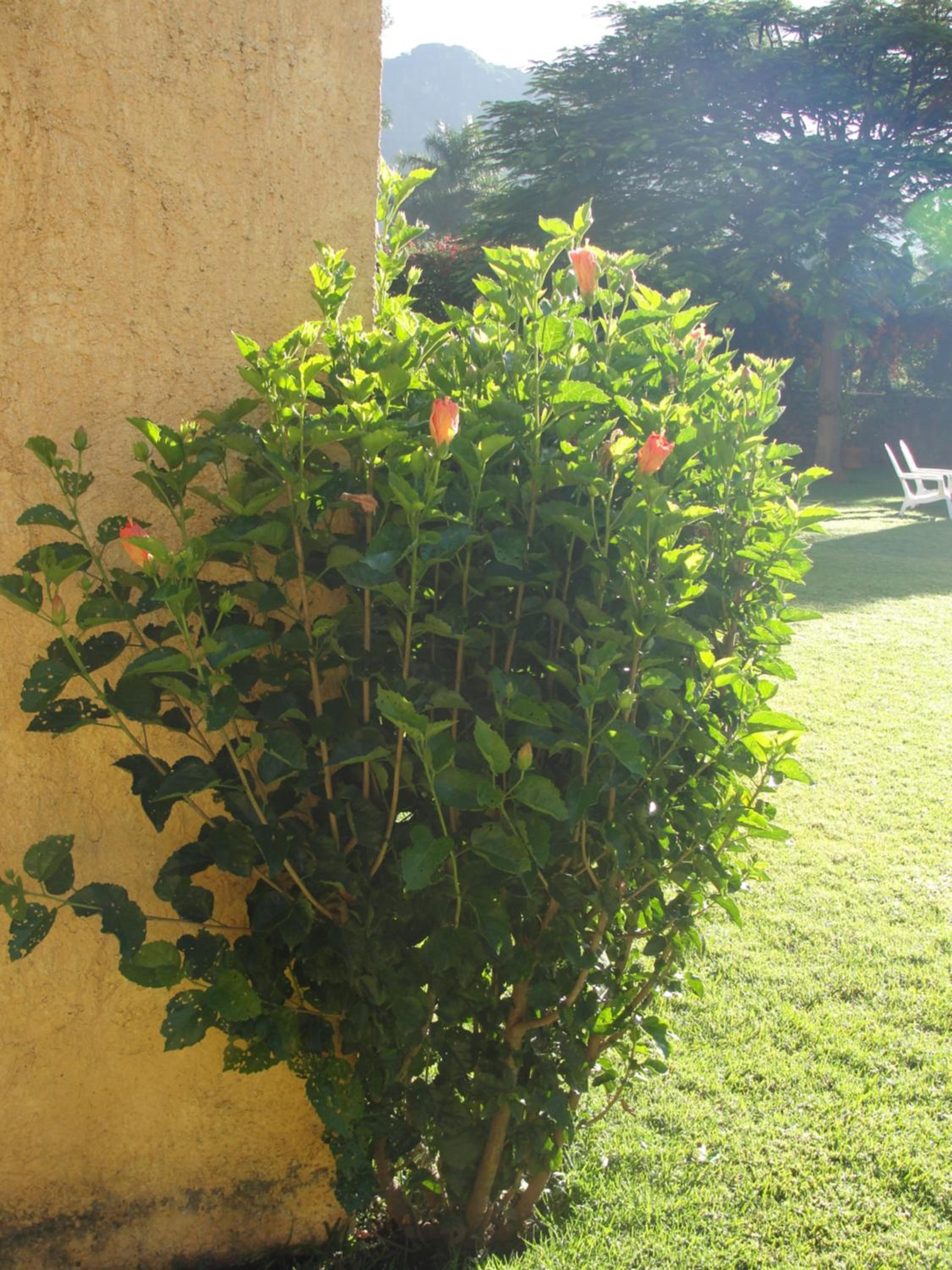 Las Casitas Tepoztlán