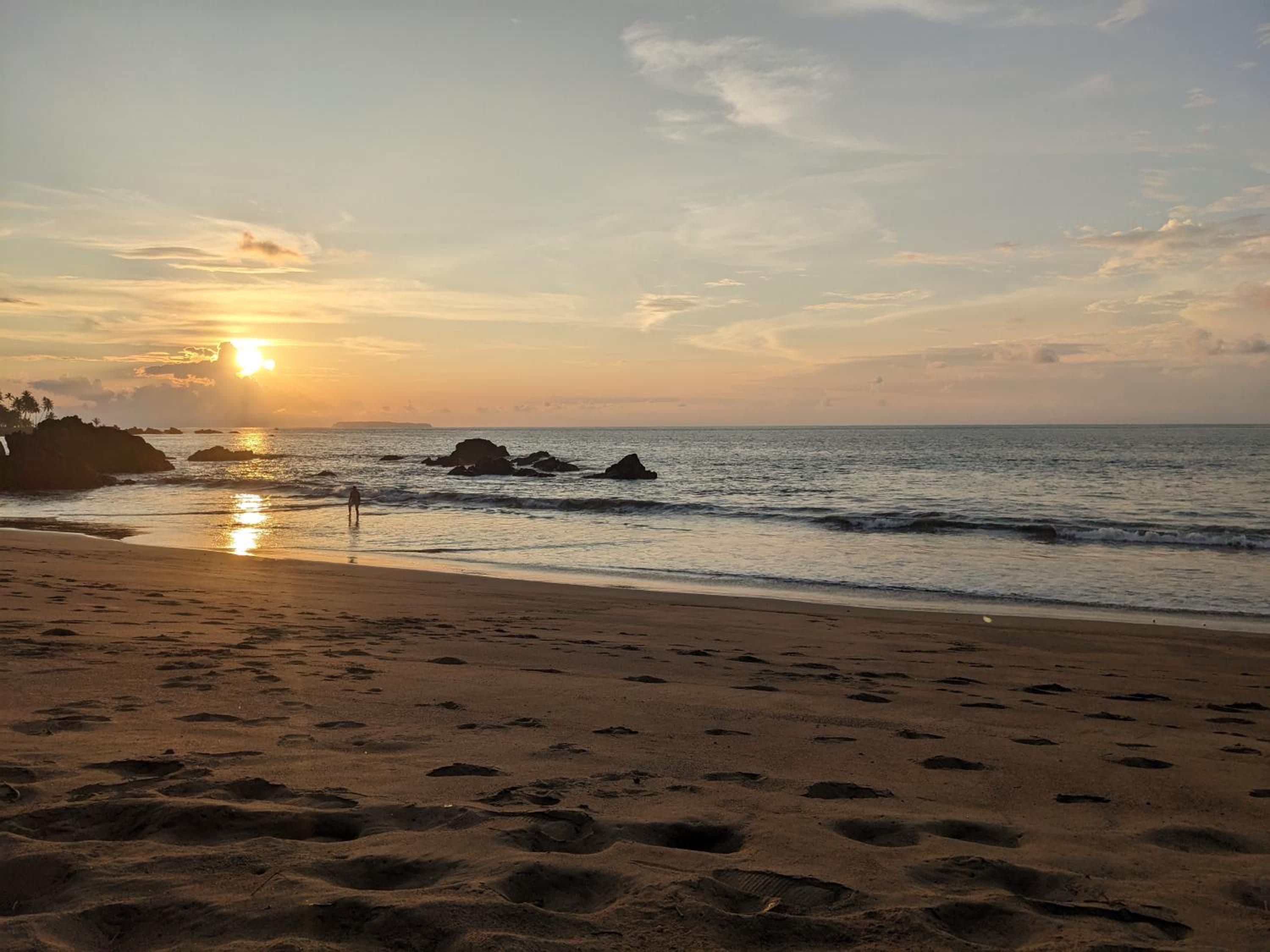 Ecobosque el mar
