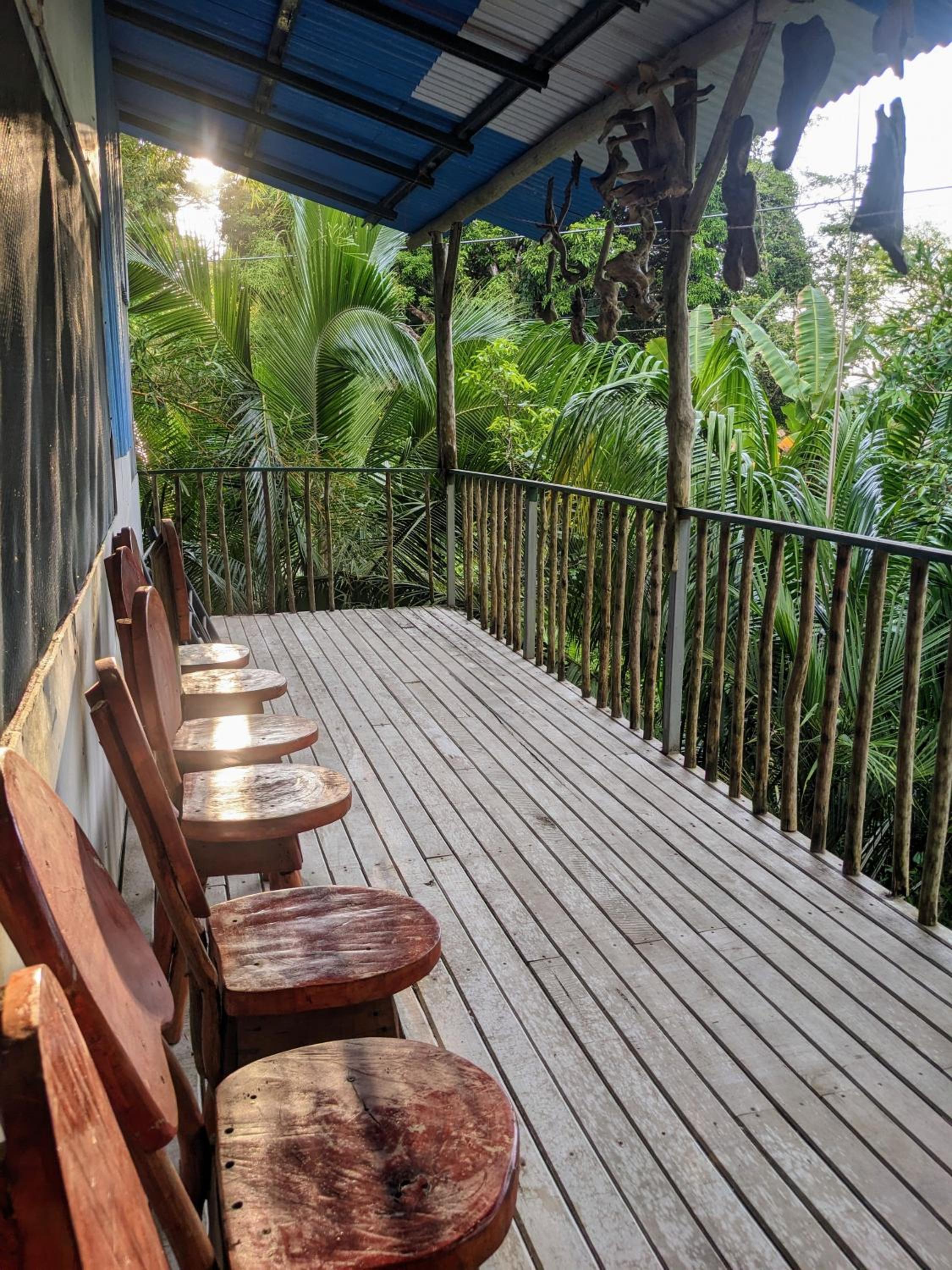Ecobosque el mar
