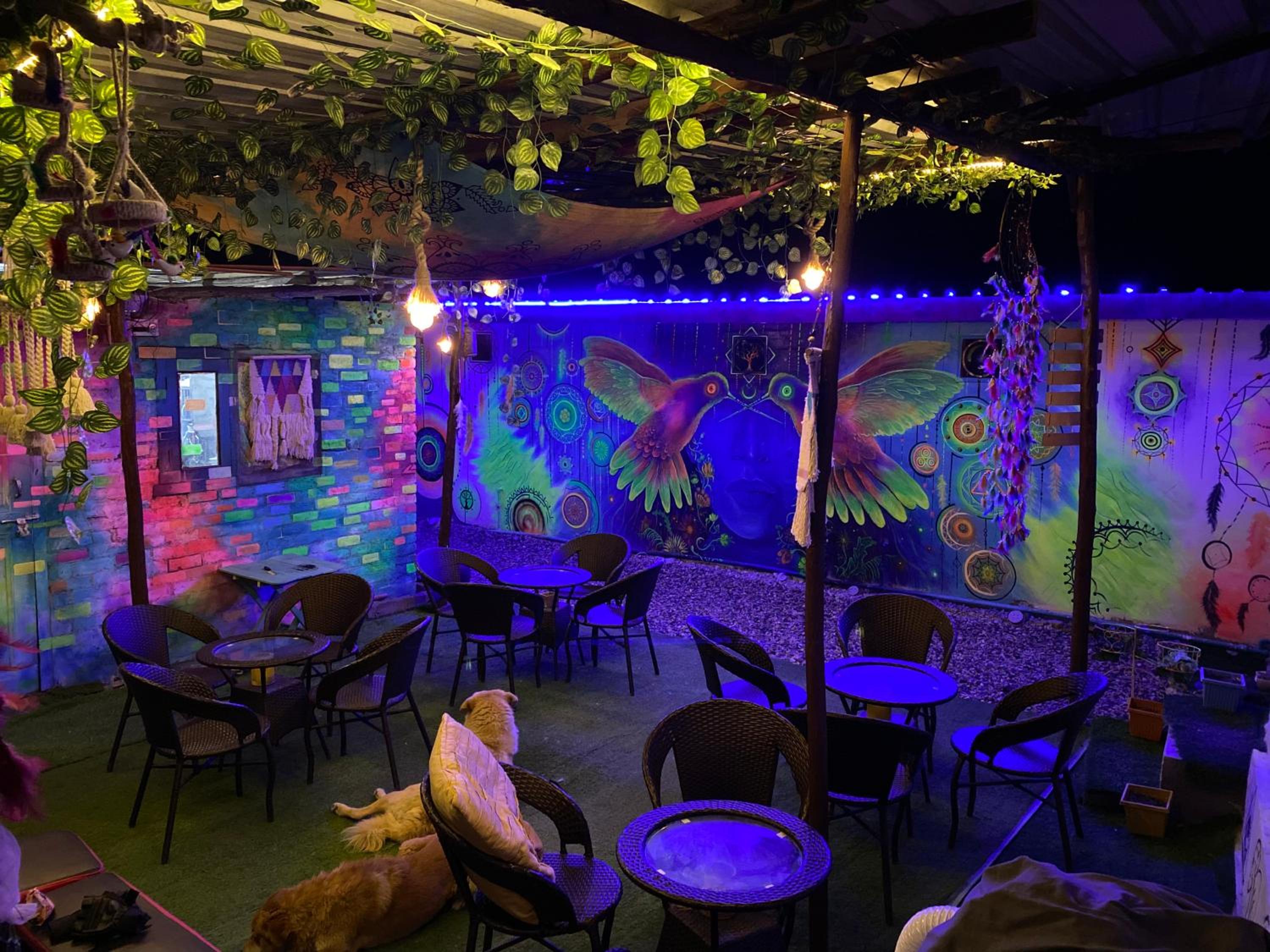 The Dreamcatcher room’s & cafe view 5