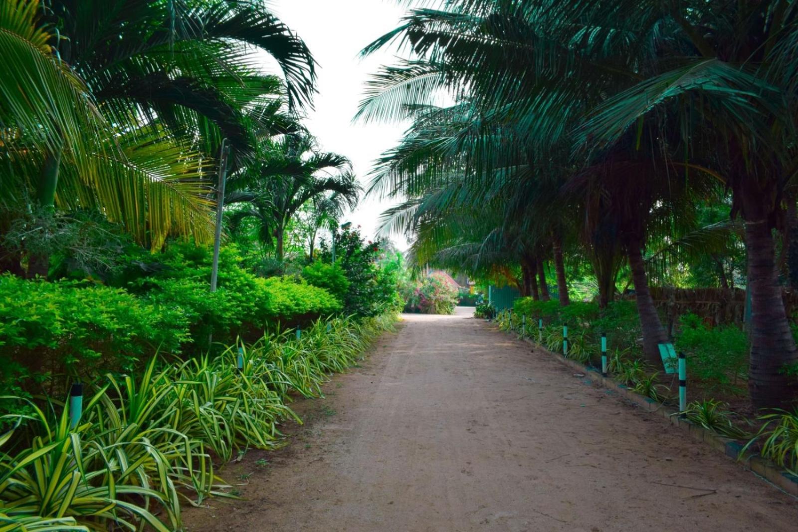 garden
