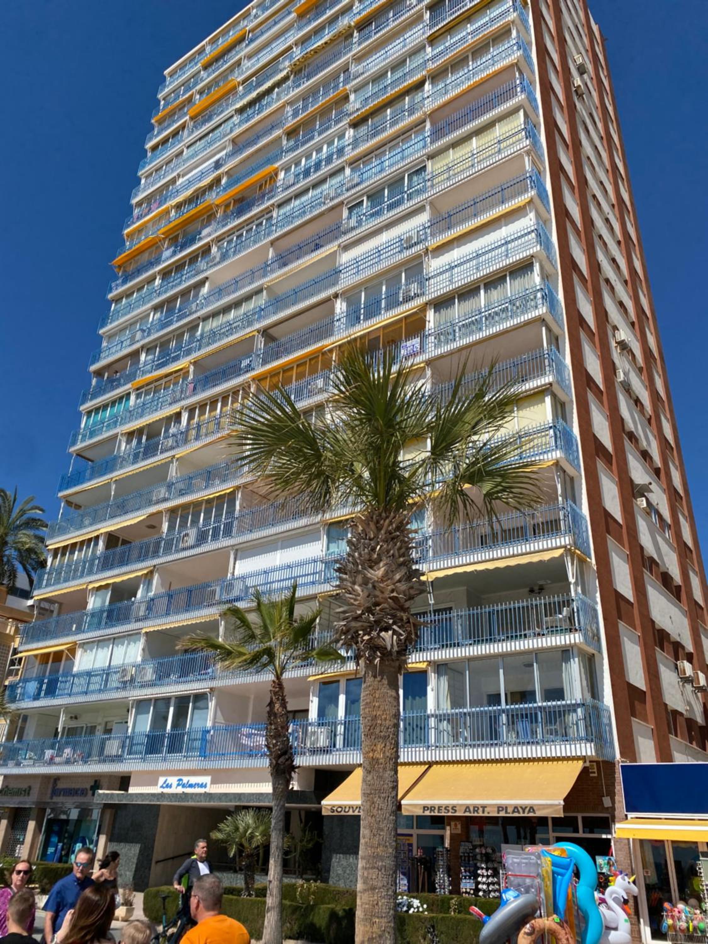 Las Palmeras 15D view 2