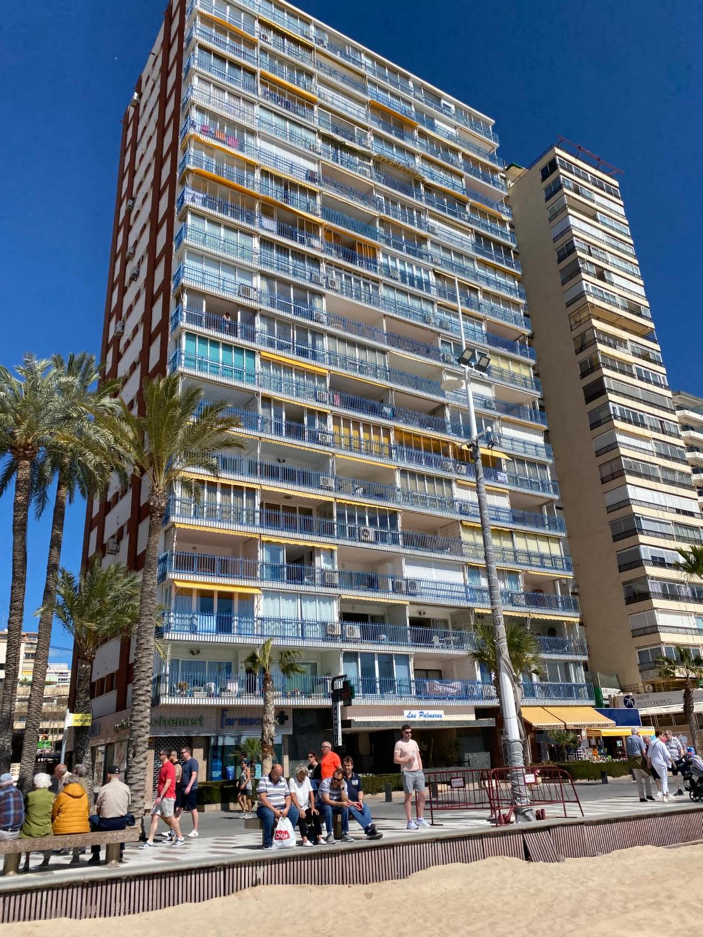 Las Palmeras 15D view 3