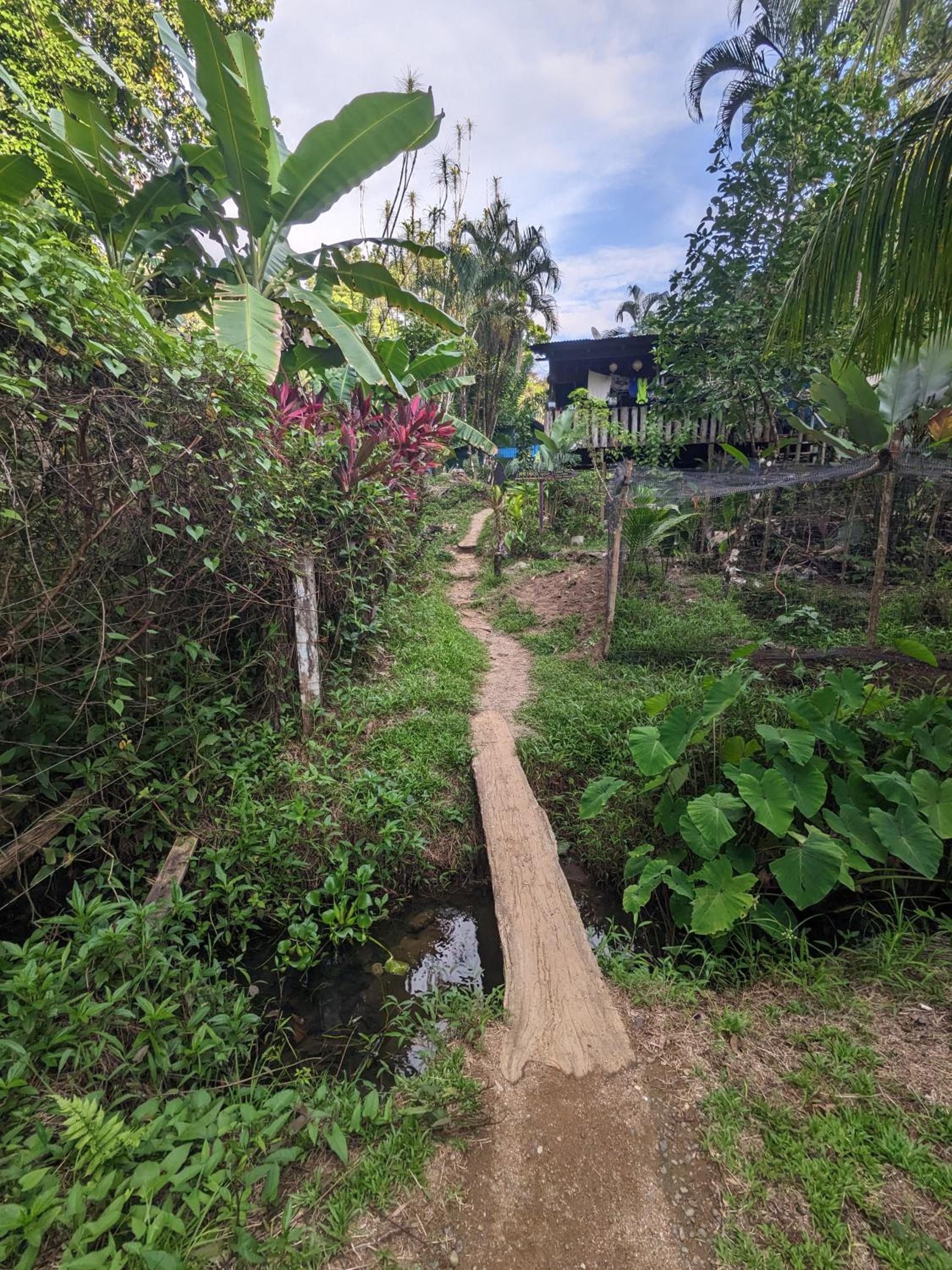 Ecobosque el mar