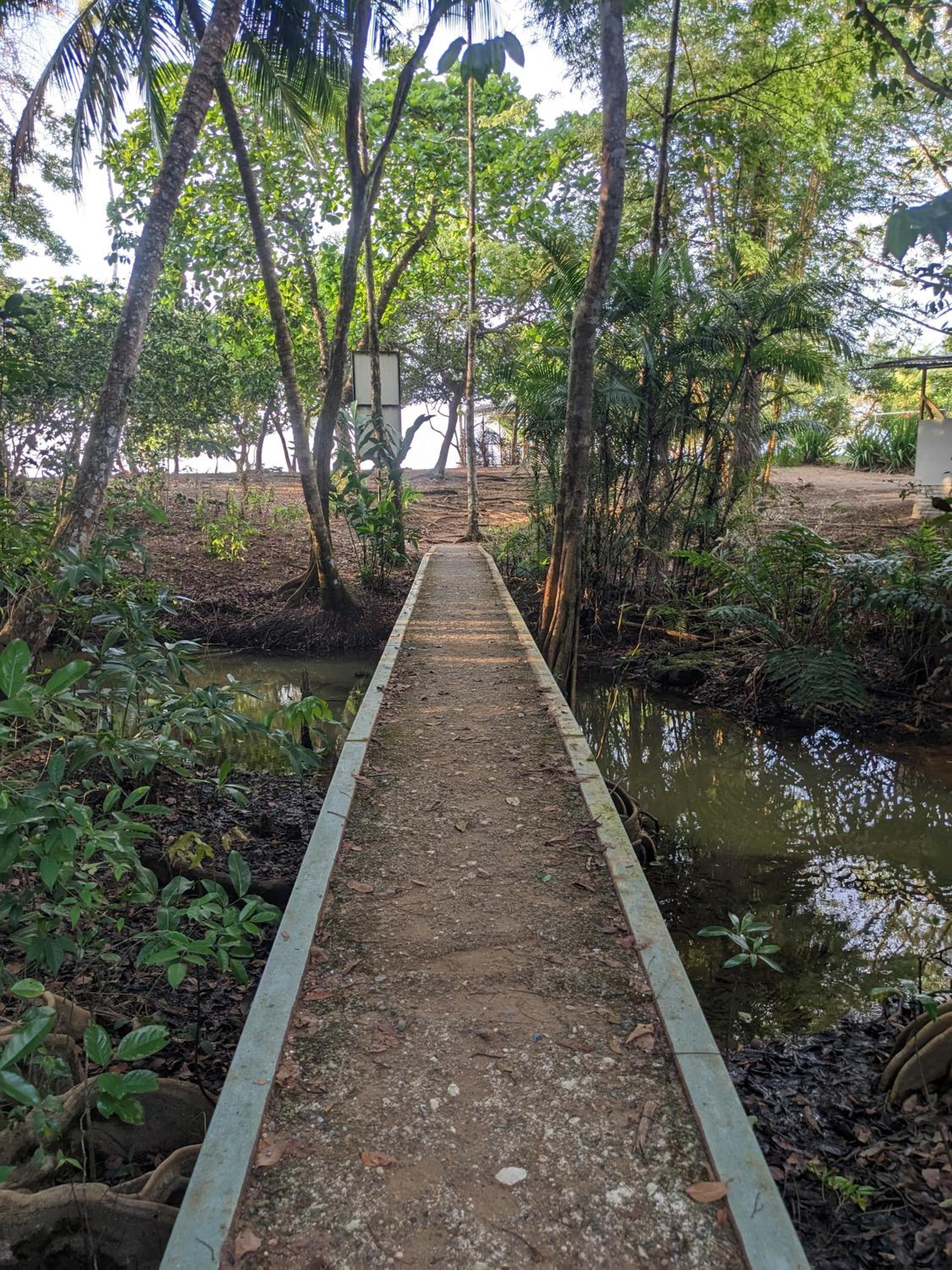 Ecobosque el mar