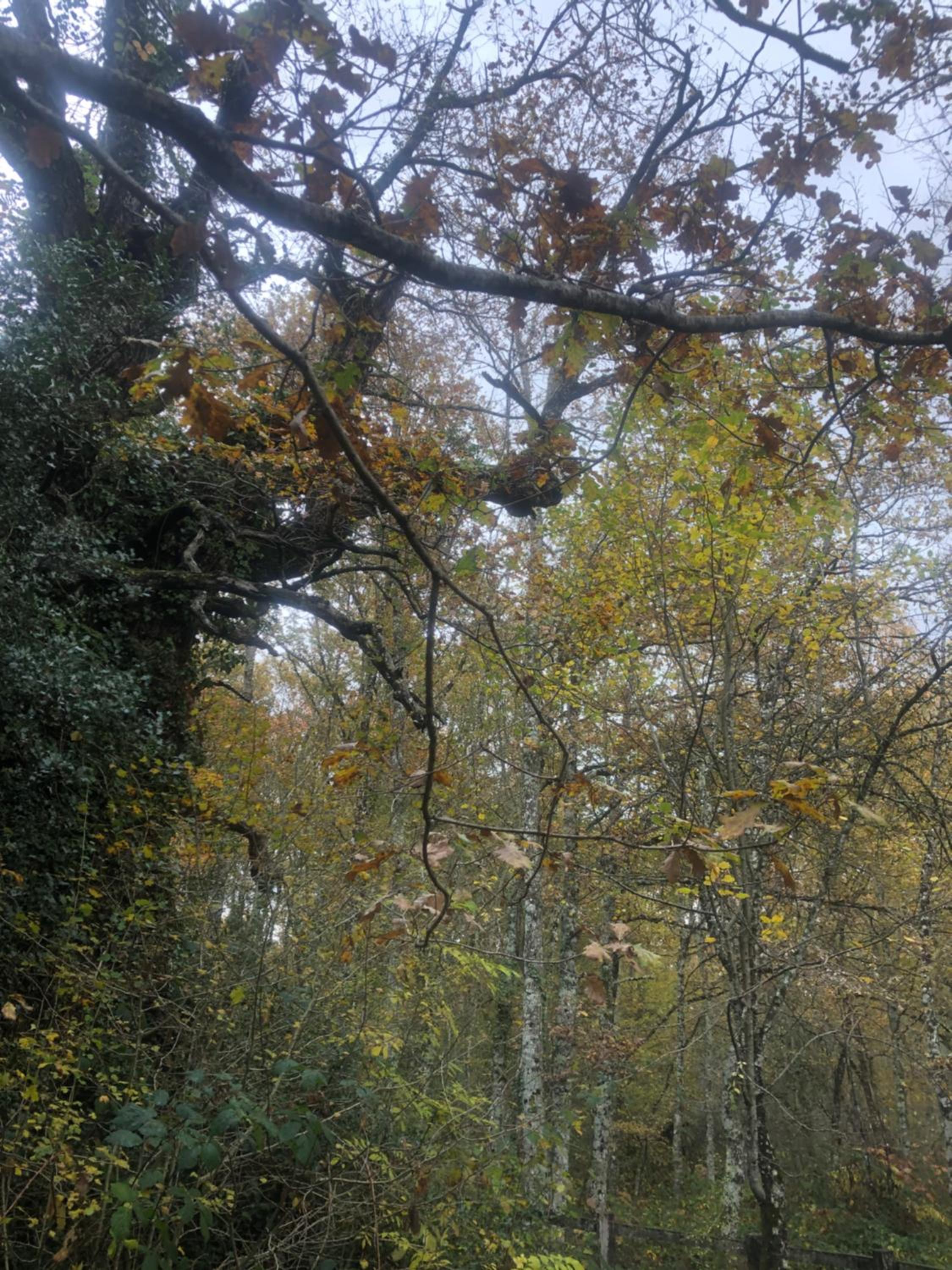 Photo 40