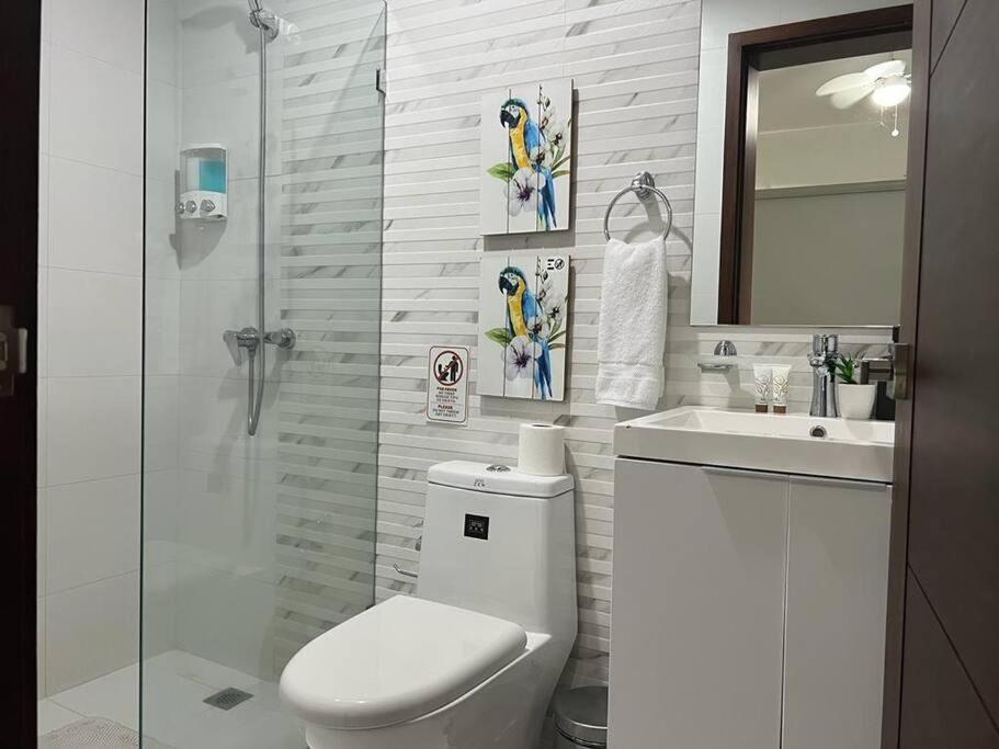 Suites Room Soha II