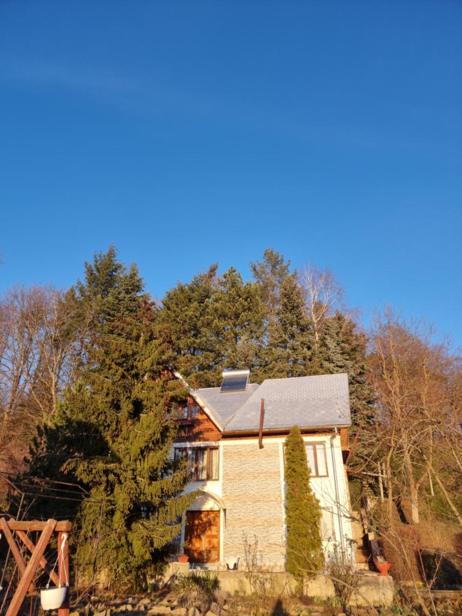 Photo 46