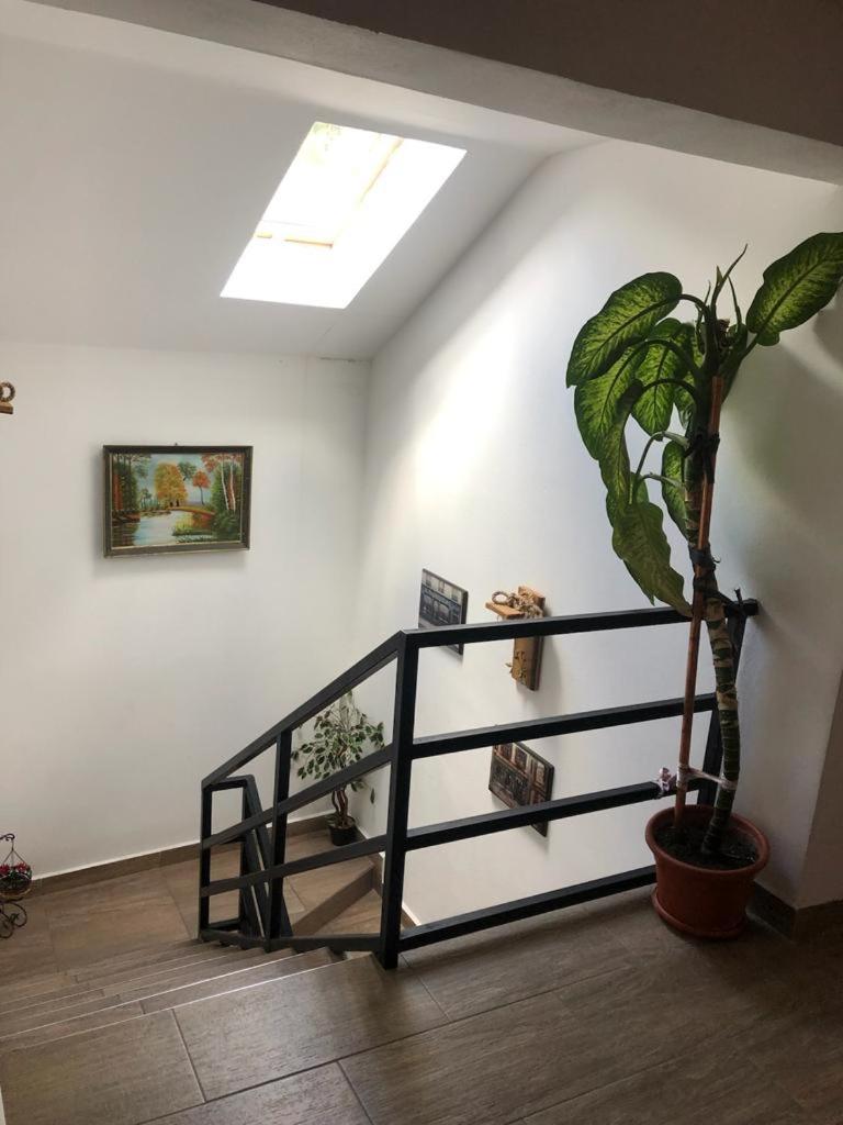 Cabana Refugiu Montan