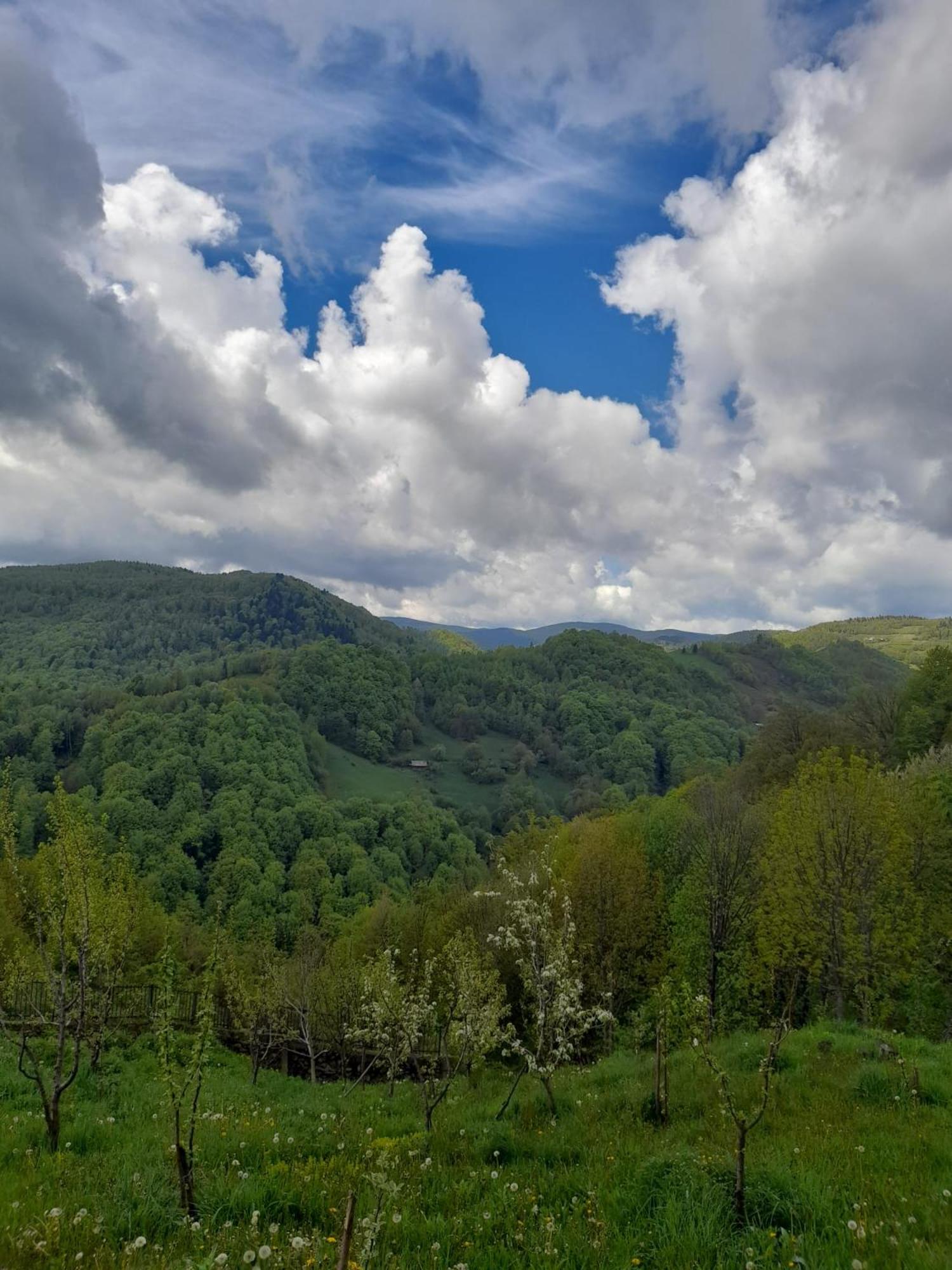 Cabana Refugiu Montan