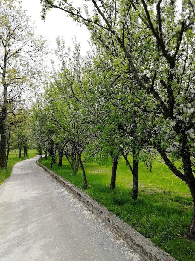Photo 40