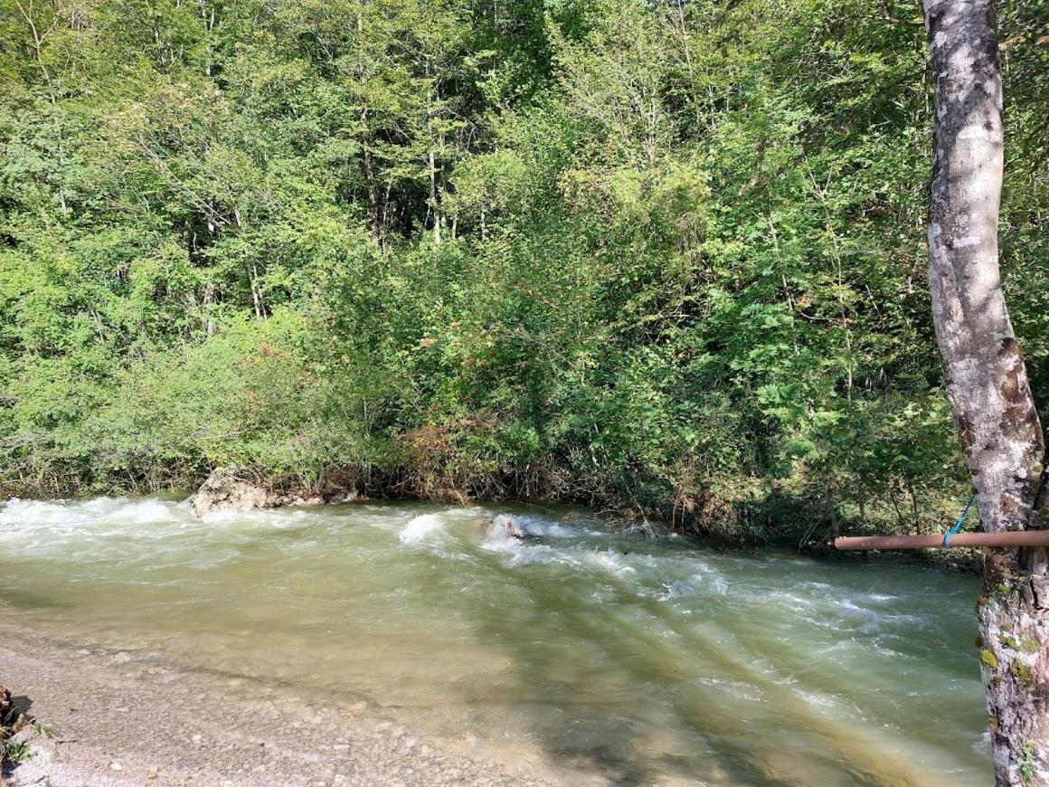 Photo 45