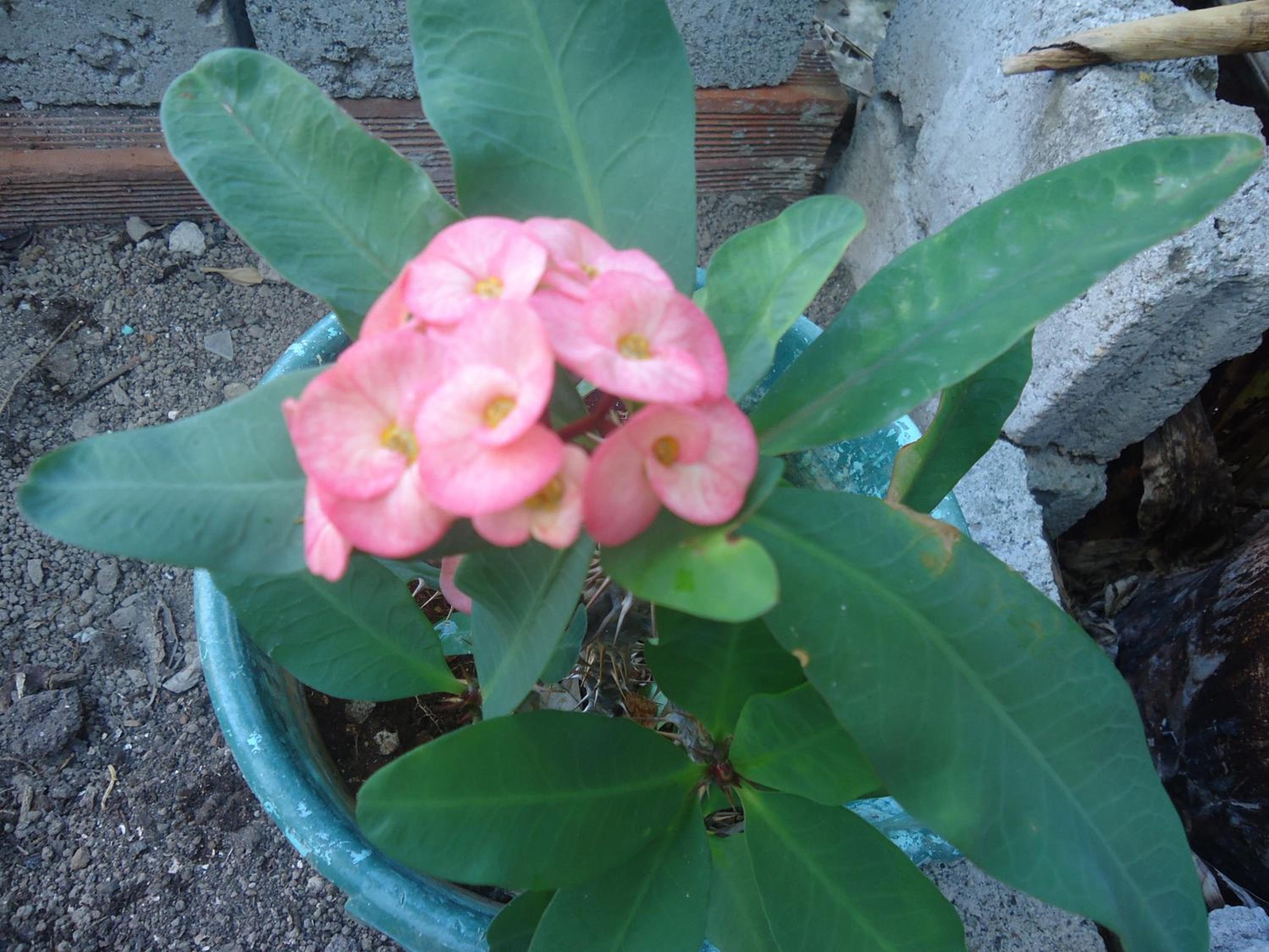 Photo 63
