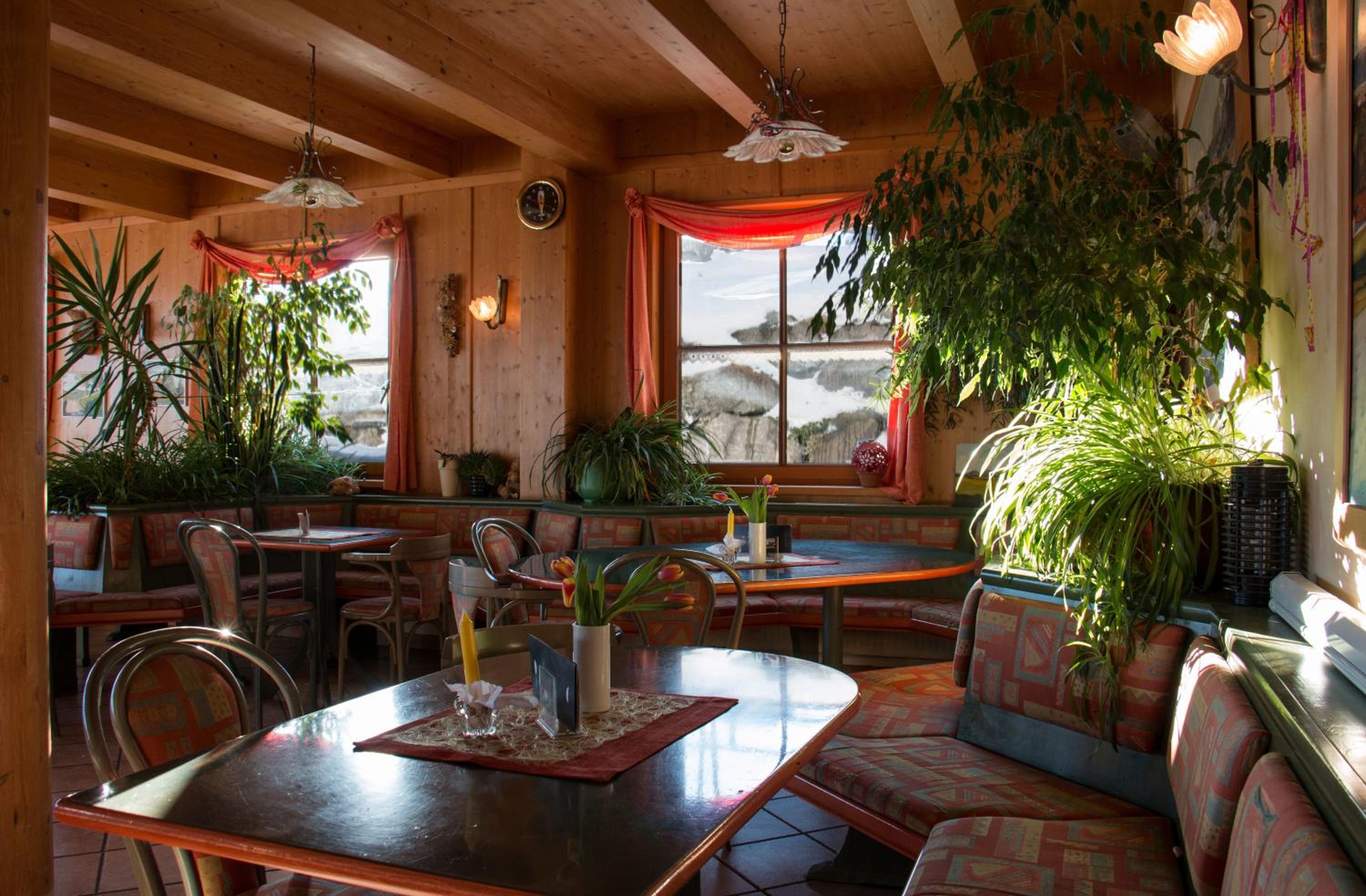 Almcafe Schnakenhöhe