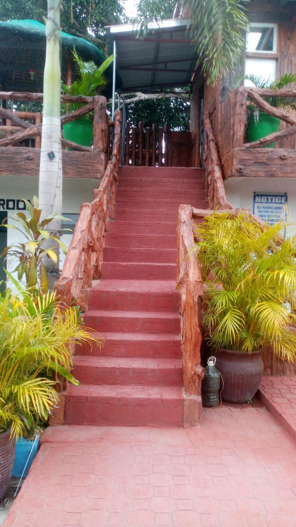 Photo 9