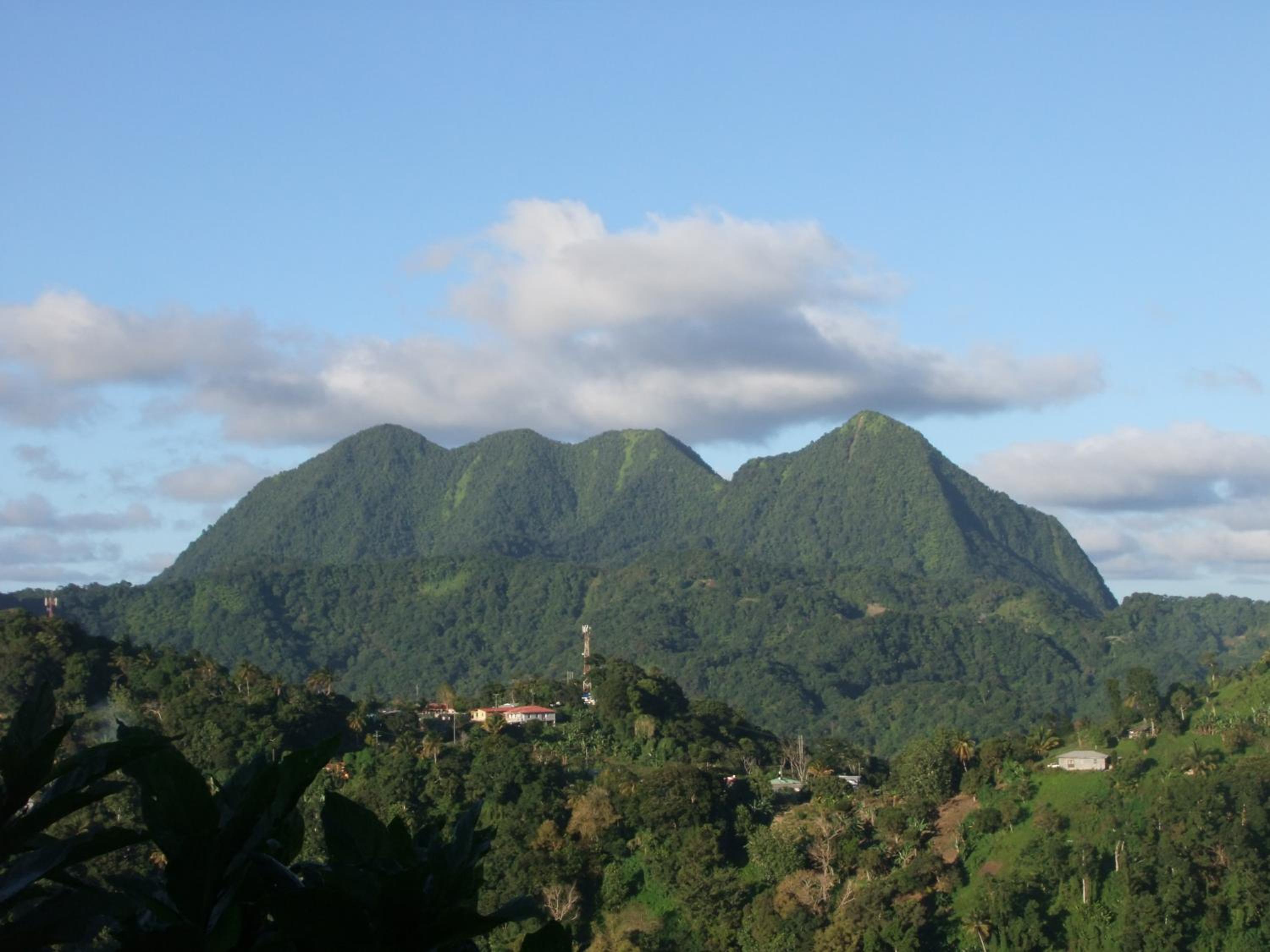 Photo 19