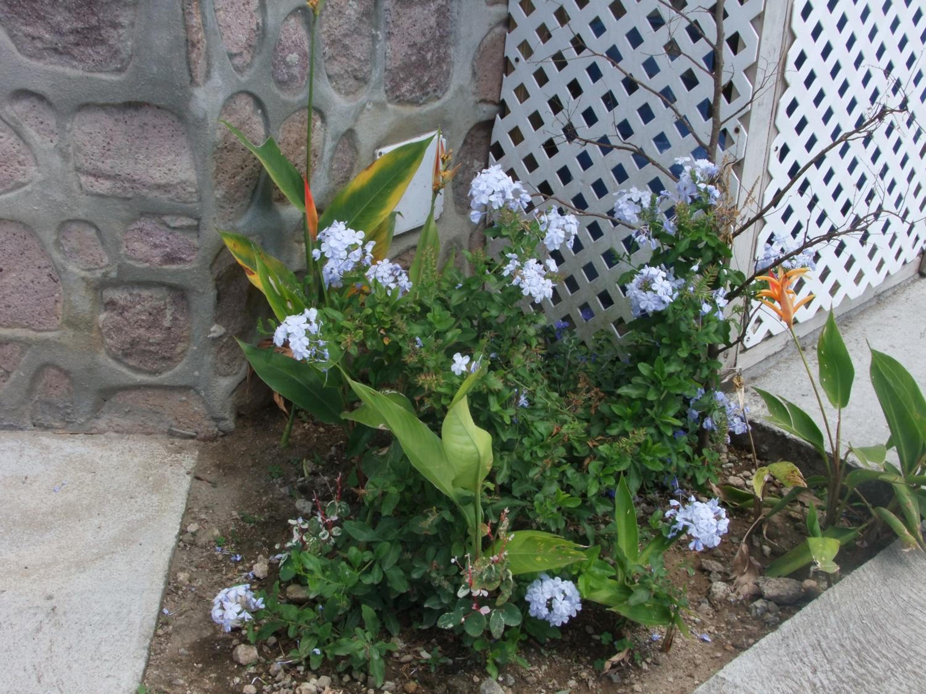 Photo 21