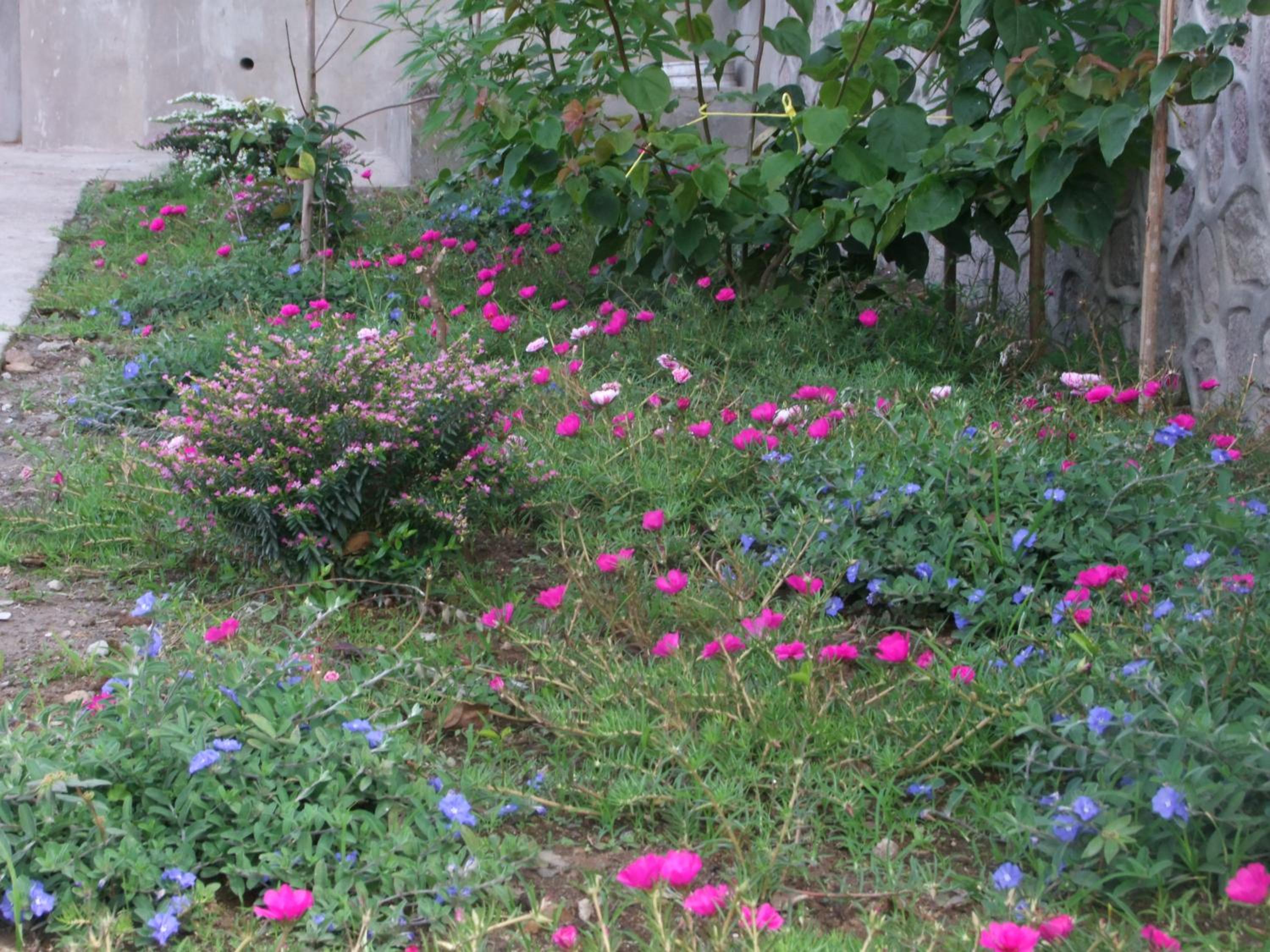 Photo 22