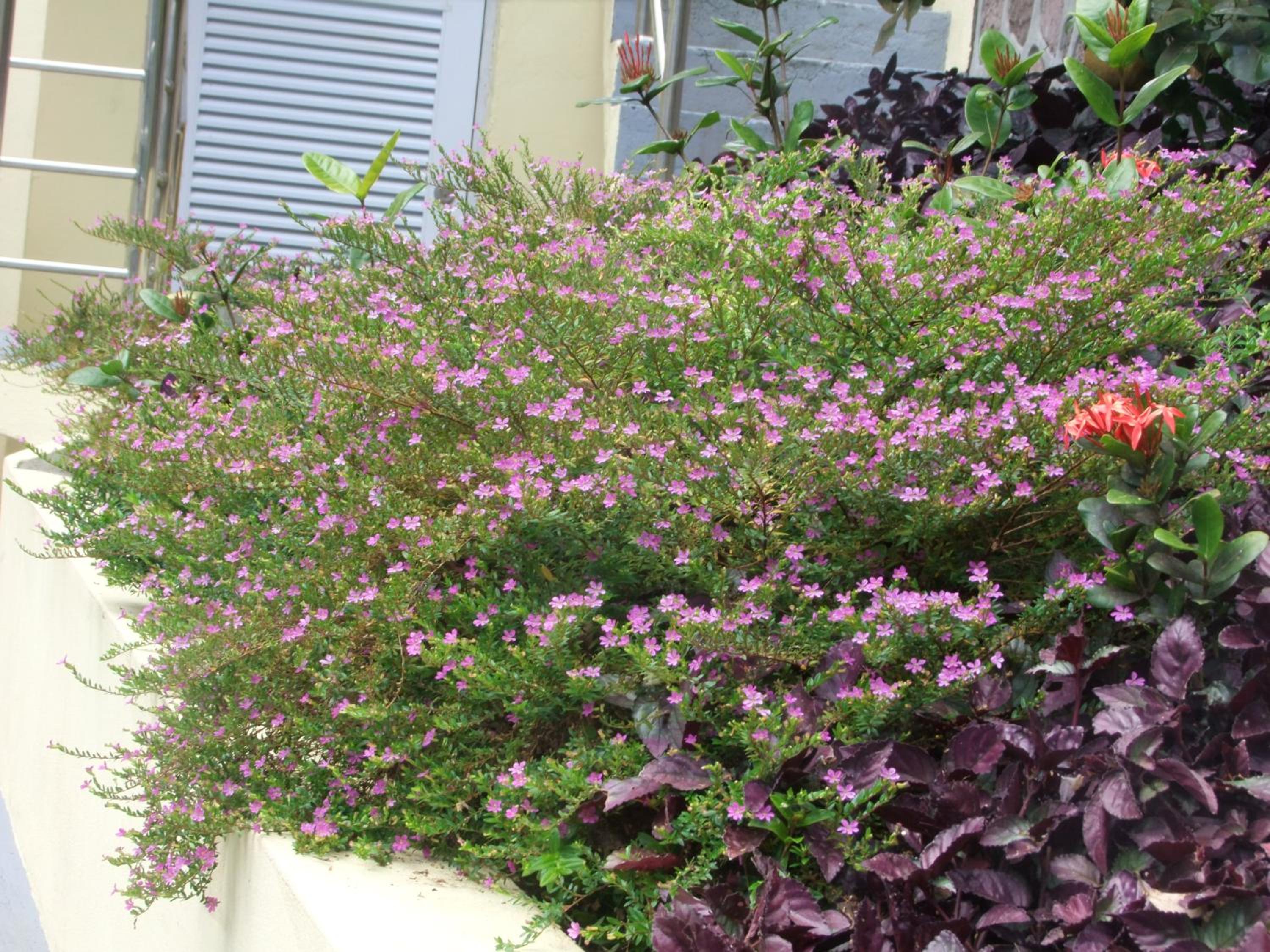 Photo 28