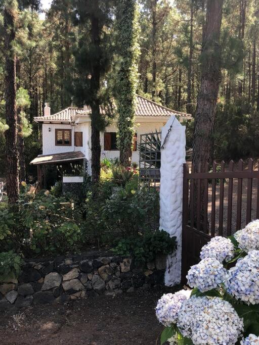 Floral garden house