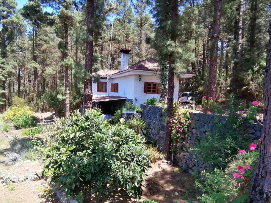 Floral garden house