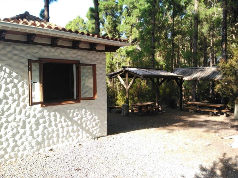 Floral garden house