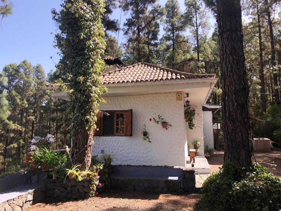 Floral garden house