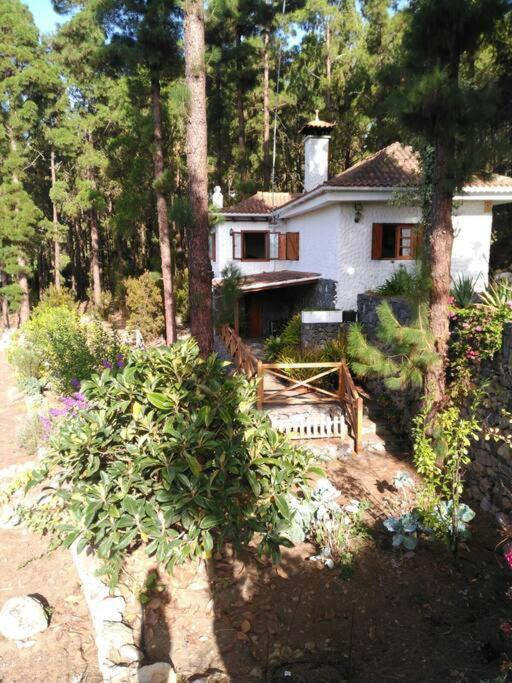 Floral garden house