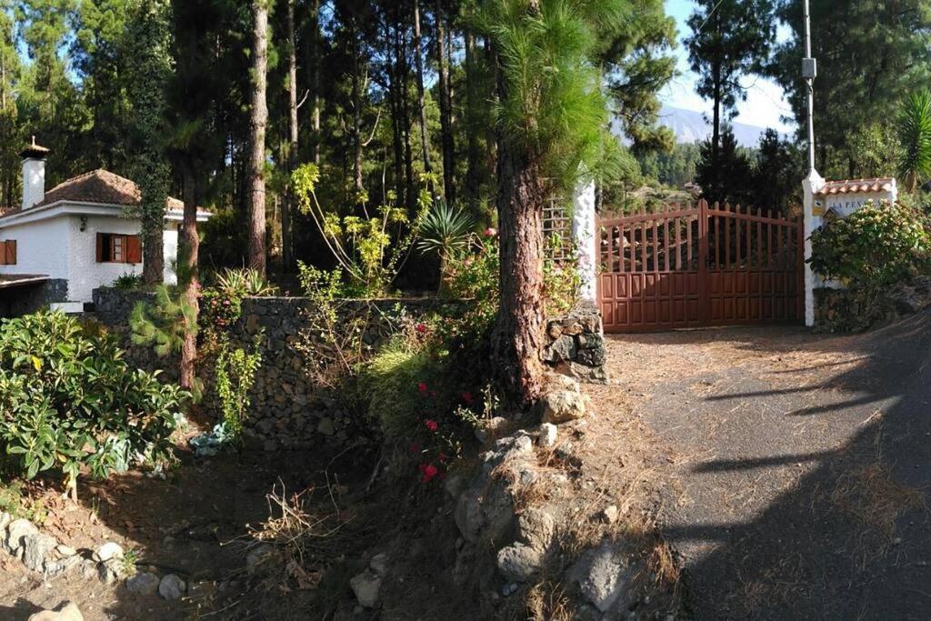 Floral garden house