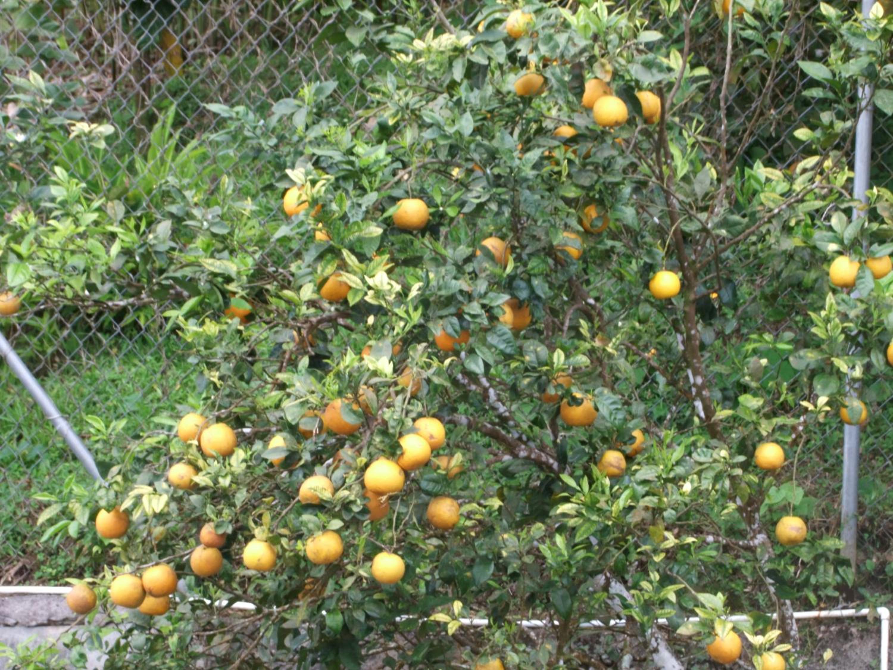 Photo 25