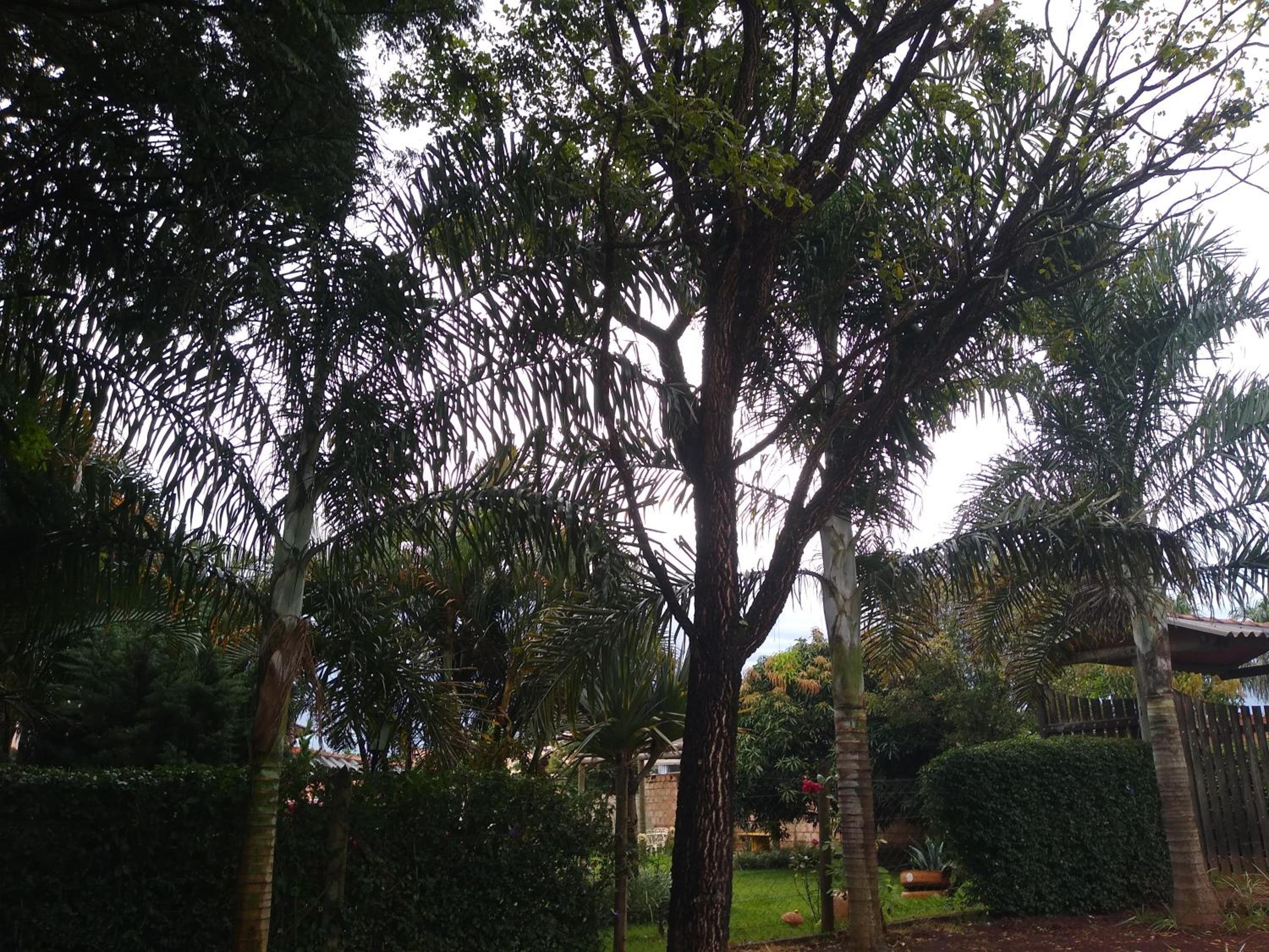 Sítio Descanso E Natureza Igarapé - 20km Inhotim